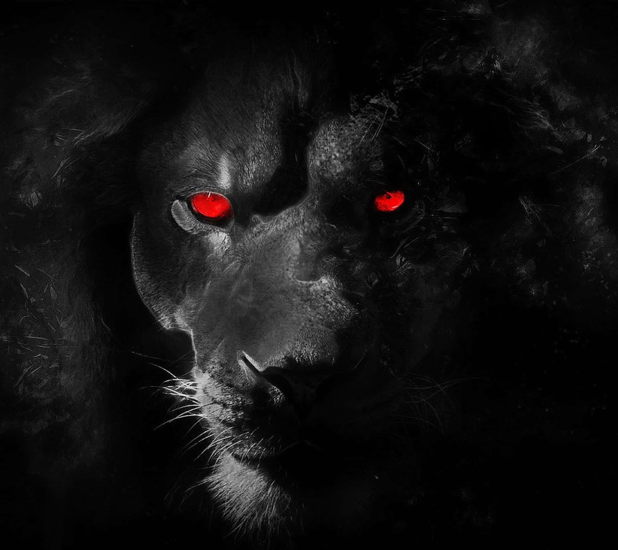 Black Lion, 2160 x 1920, glowing red eyes, Full HD Desktop Wallpaper