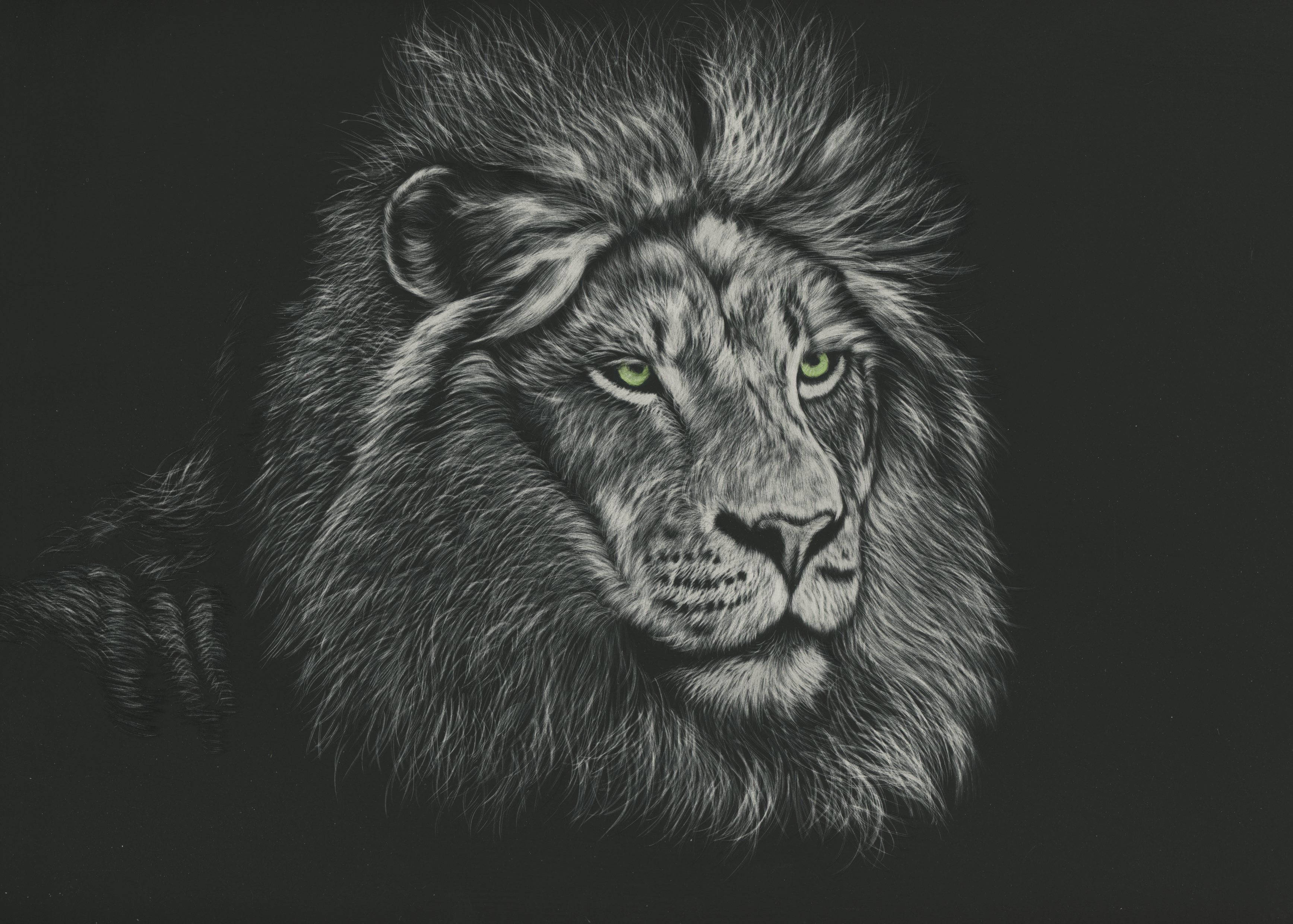 Black Lion, green eyes, charcoal sketch, 2K Desktop Wallpaper