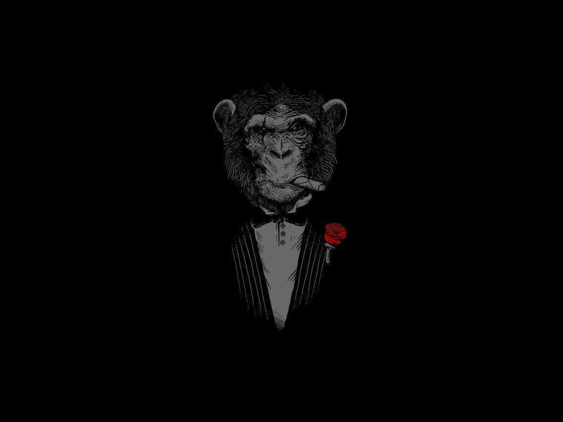 Black Monkey, tuxedo, red rose boutonniere, SD Desktop Wallpaper