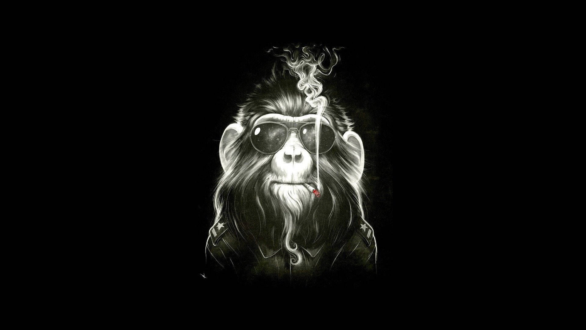 Black Monkey, sunglasses, cigarette, Full HD Desktop Wallpaper