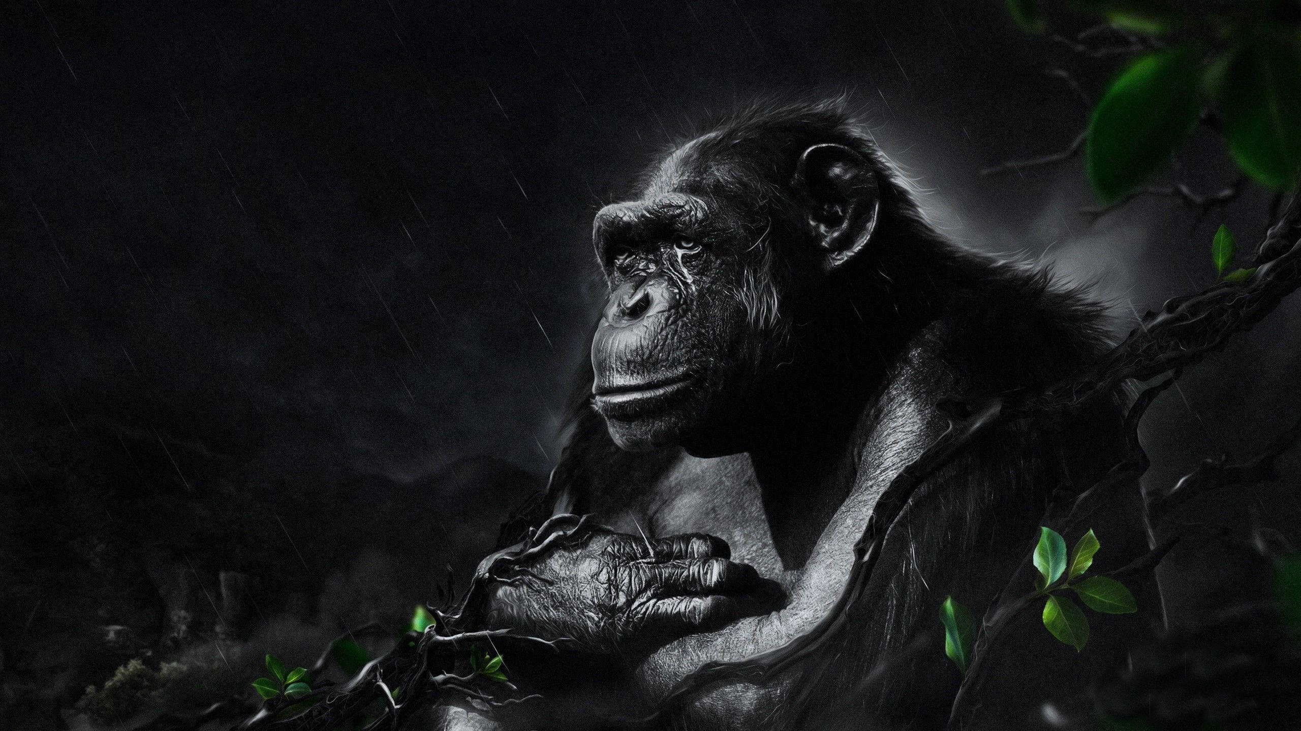 Black Monkey, chimpanzee, glowing green leaves, 2K Desktop Wallpaper