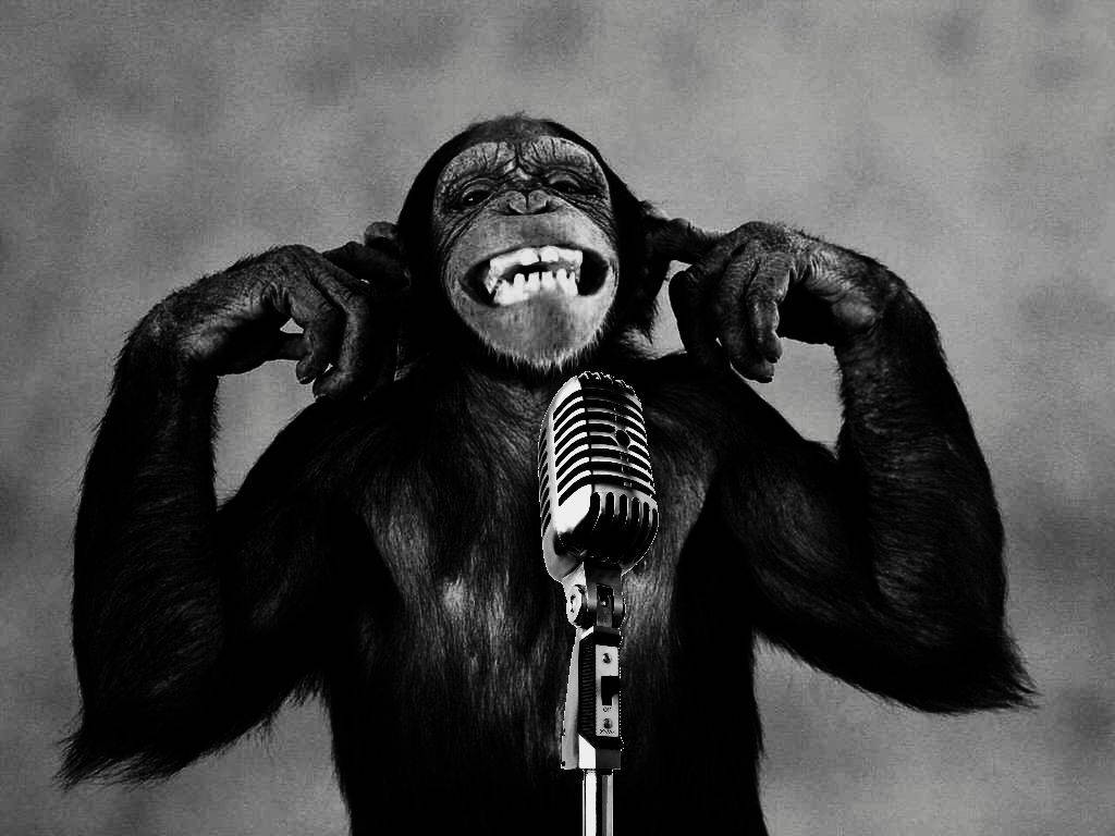 Black Monkey, chimpanzee, vintage microphone, SD Desktop Wallpaper