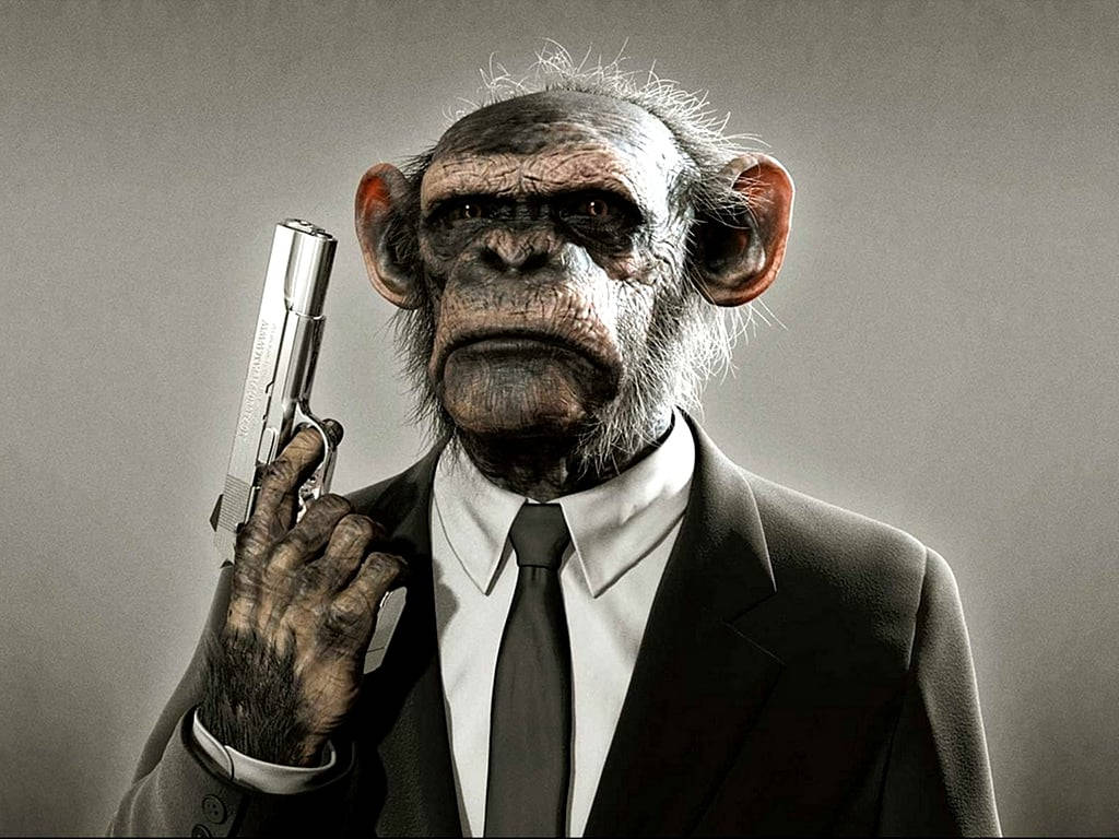 Black Monkey, silver pistol, sharp suit, SD Desktop Wallpaper