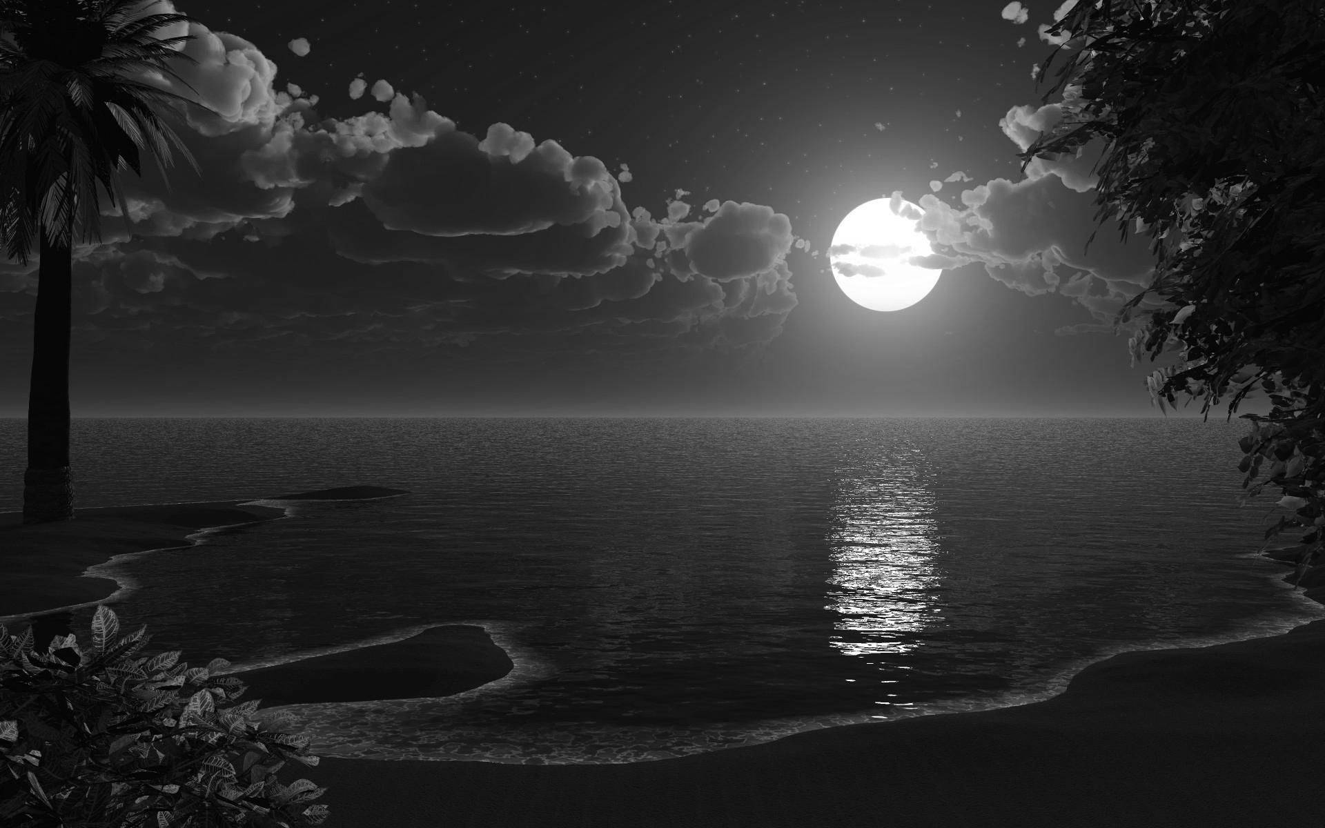 full moon, monochrome beach, calm waters, Full HD Desktop Wallpaper