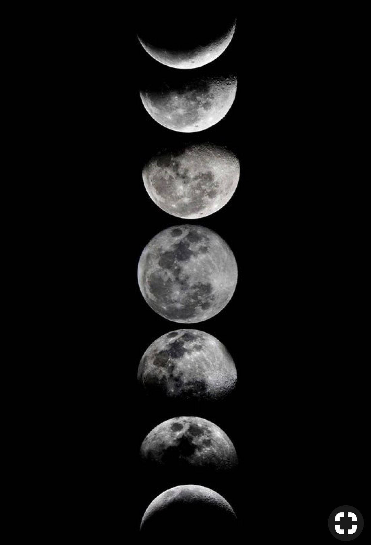 vertical moon phases, crescent, full, HD Phone Wallpaper