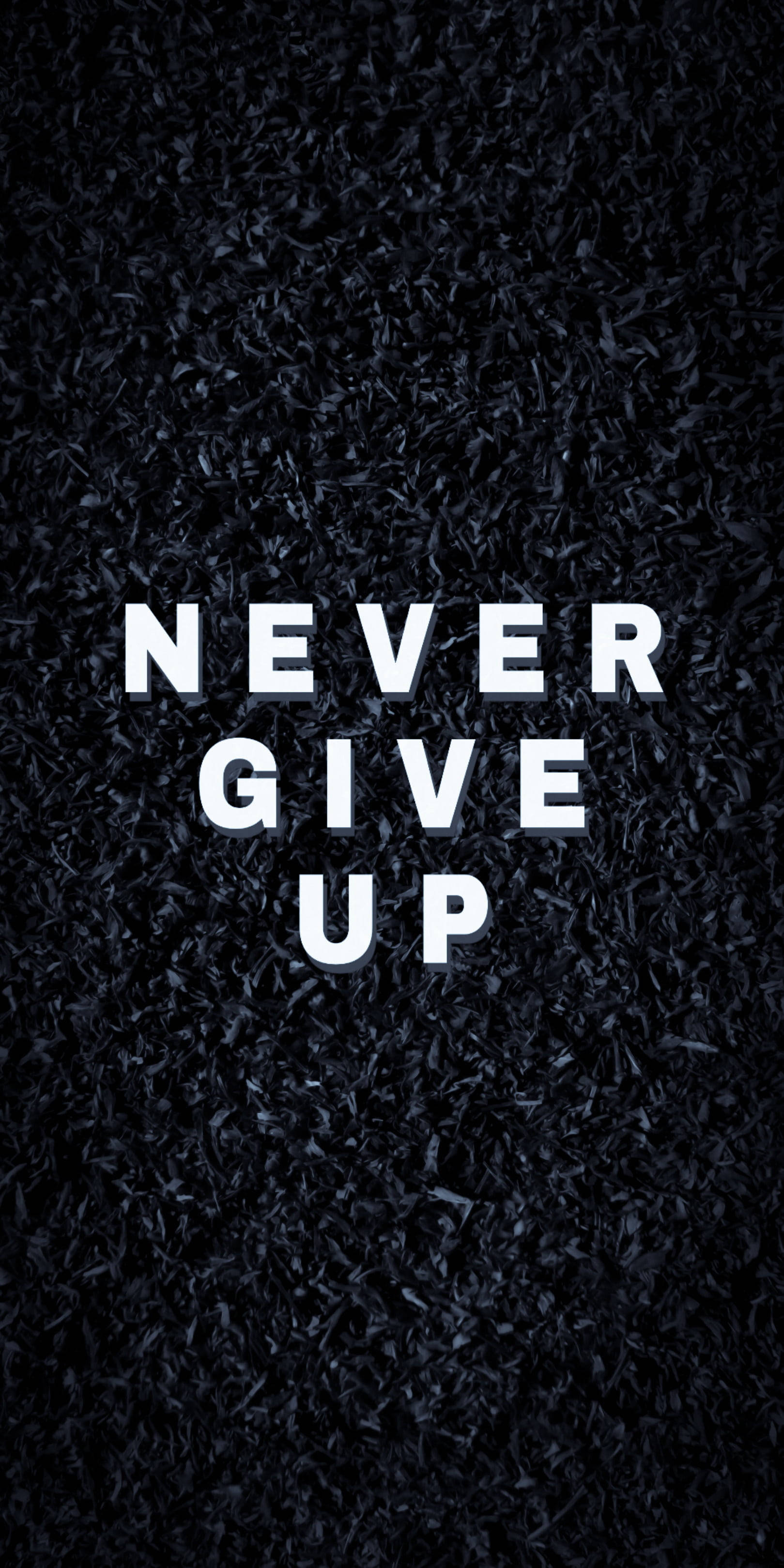 Black Motivation, never give up, bold white text, 2K Phone Wallpaper