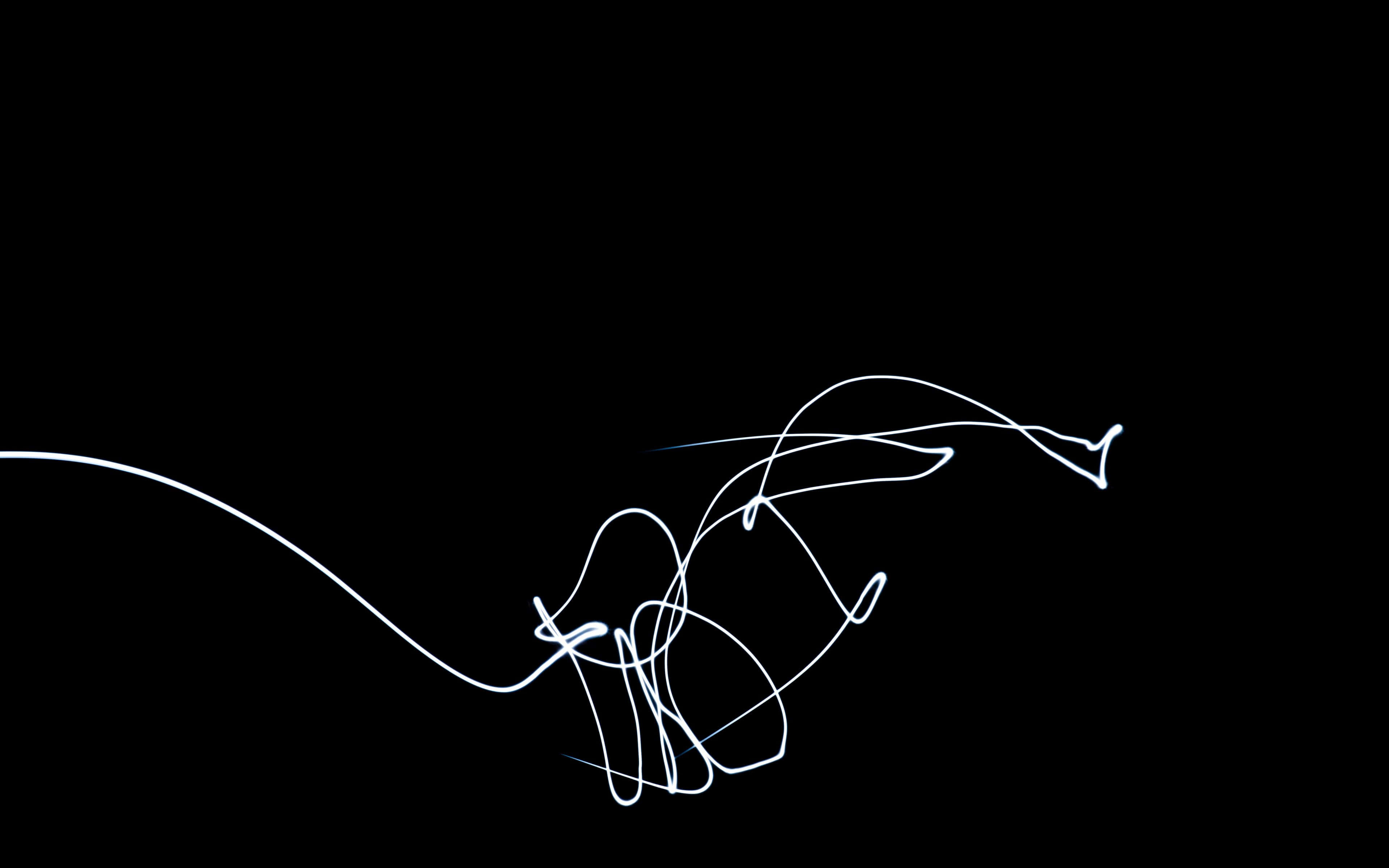 abstract neon lines, white light trail, pure black background, 4K Desktop Wallpaper