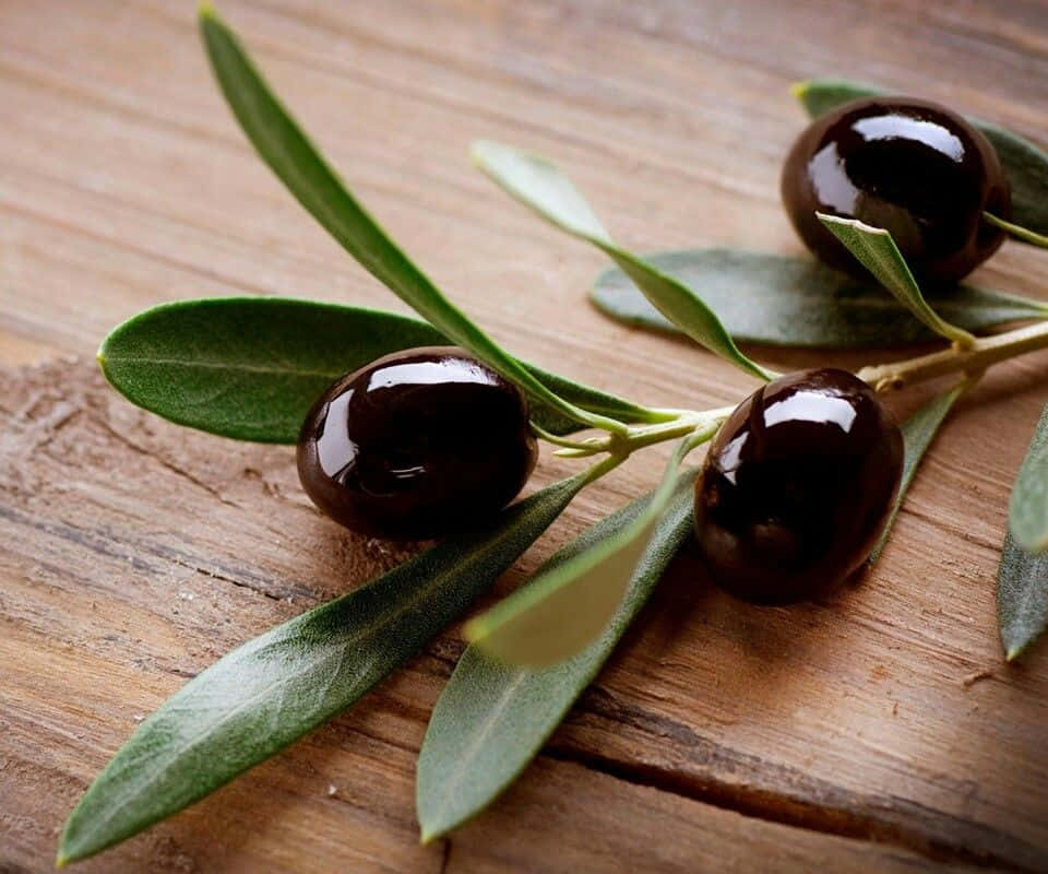 black olives, glossy black olives, green leaves, SD Desktop Wallpaper