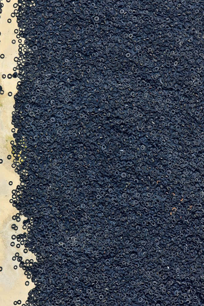 black olives, 683 x 1024, dark blue circular plastic rings, SD Phone Wallpaper