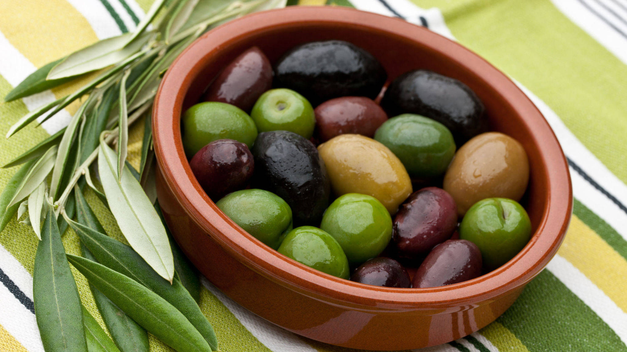 terracotta bowl, glossy green black and purple olives, fresh olive branches, Full HD Desktop Wallpaper