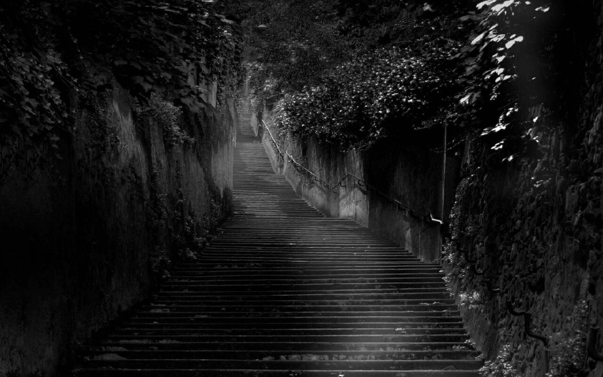 Black Forest Page, stone staircase, ivy-covered tunnel, Full HD Desktop Wallpaper