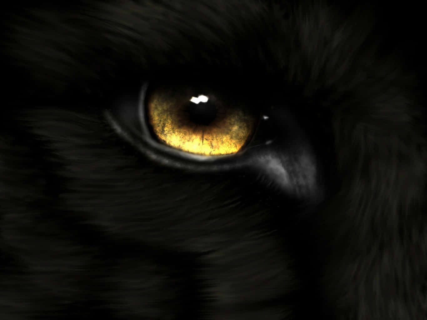 Black Panther, golden eye, black cat, HD Desktop Wallpaper