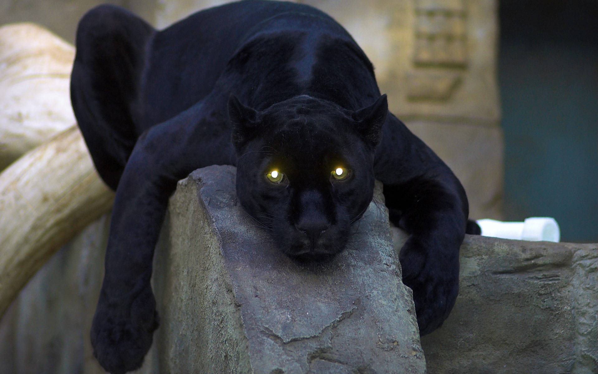 Black Panther, glowing yellow eyes, stone ledge, Full HD Desktop Wallpaper