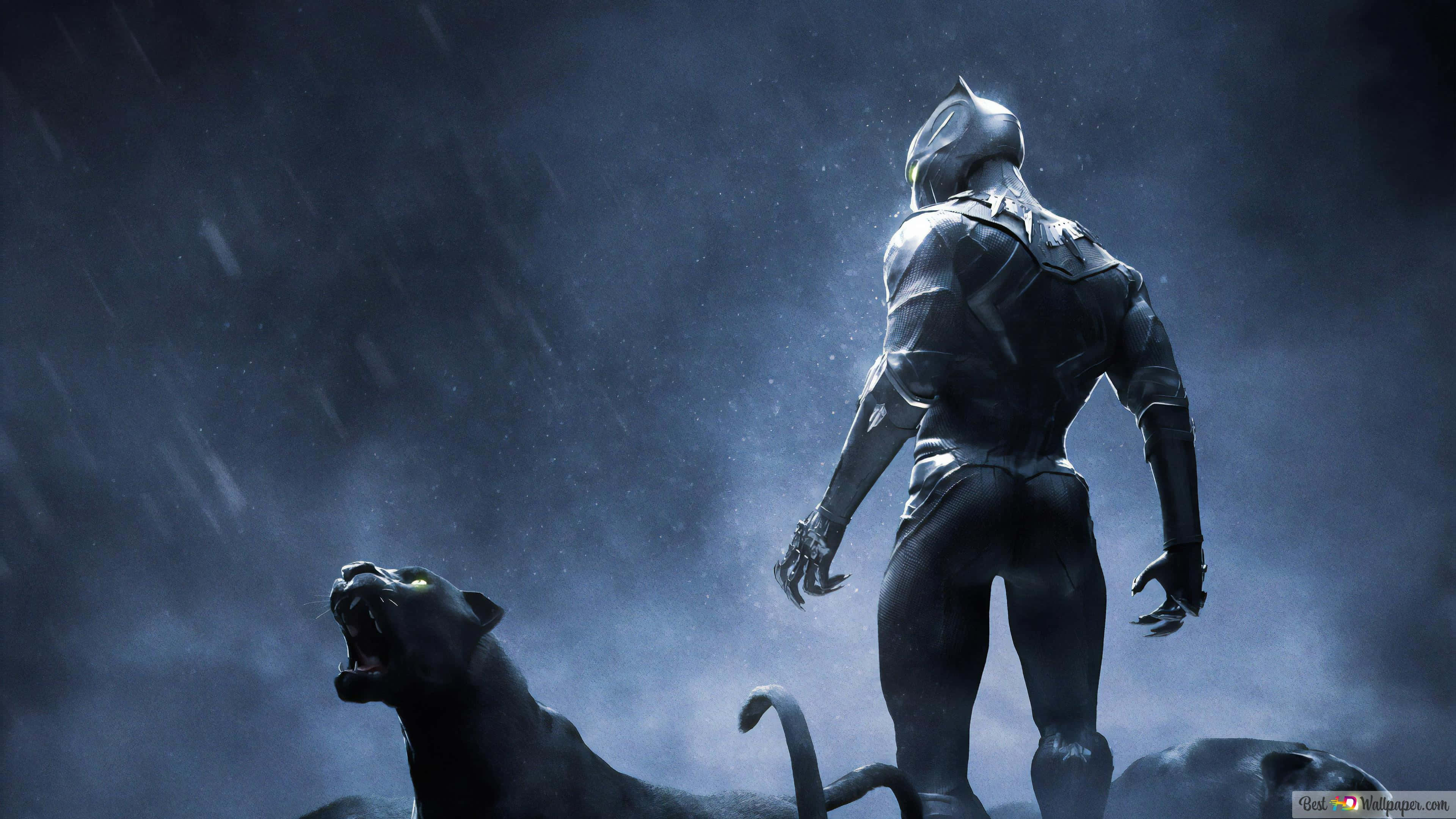 Black Panther, armored figure, stormy rain, 4K Desktop Wallpaper