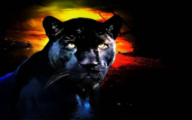 Black Panther, fiery sunset sky, glowing yellow eyes, SD Desktop Wallpaper