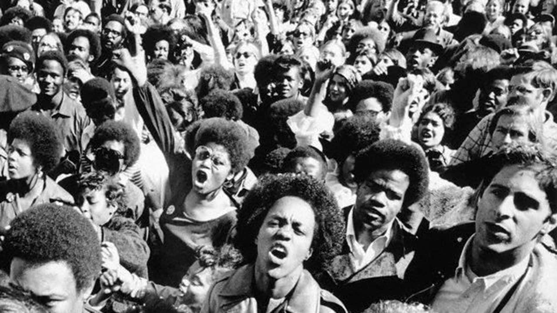 Black Panther Party, 1960s, afros, Full HD Desktop Wallpaper