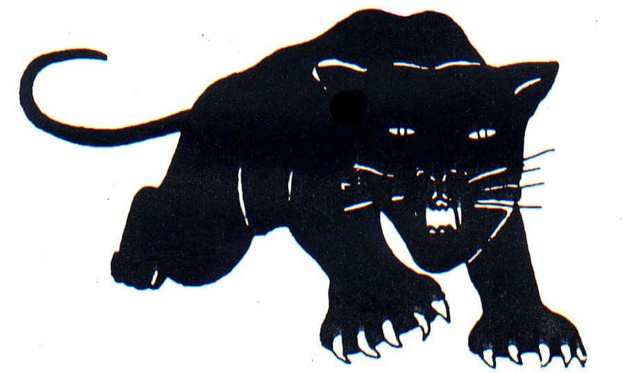 Black Panther Party, snarling panther, black silhouette, SD Desktop Wallpaper