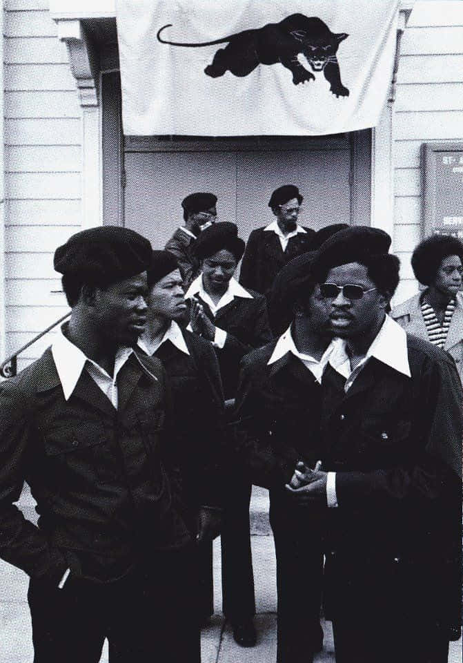 Black Panther Party, black panther banner, black and white photo, SD Phone Wallpaper