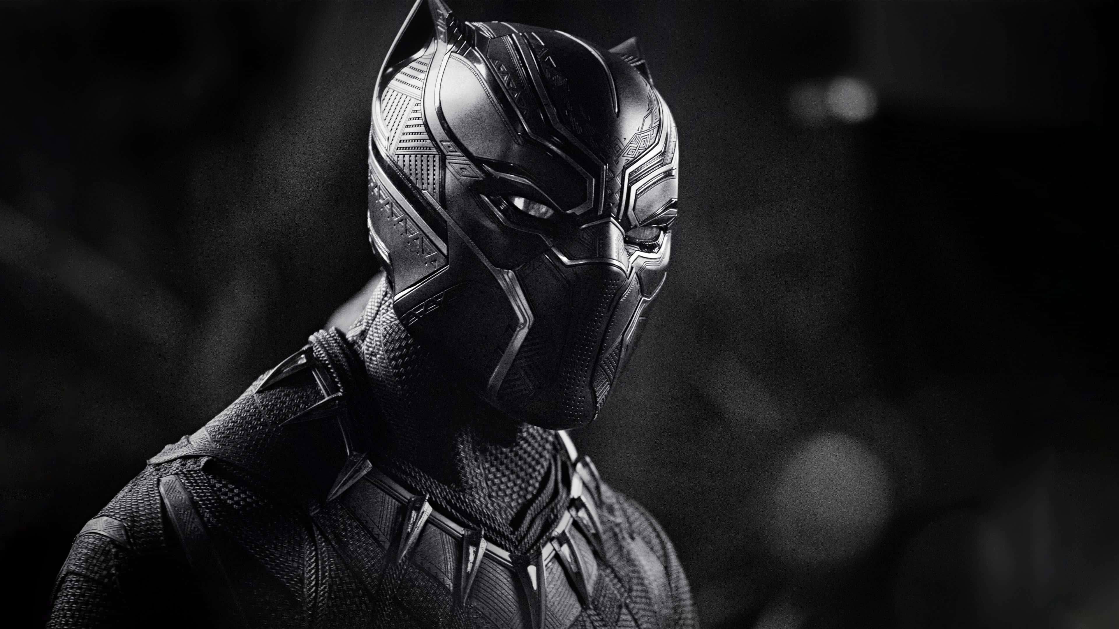 Black Panther, sleek black suit, glowing eyes, 4K Desktop Wallpaper