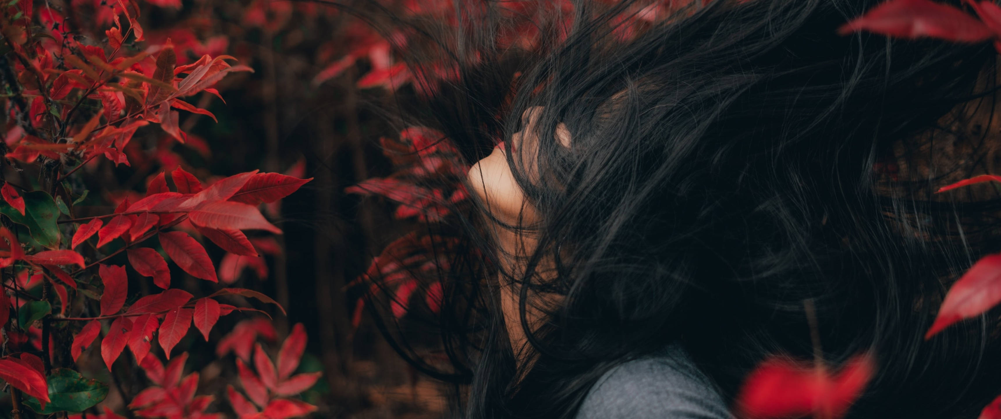 Black Red 4K, hair flip, vibrant red autumn leaves, 2K Desktop Wallpaper