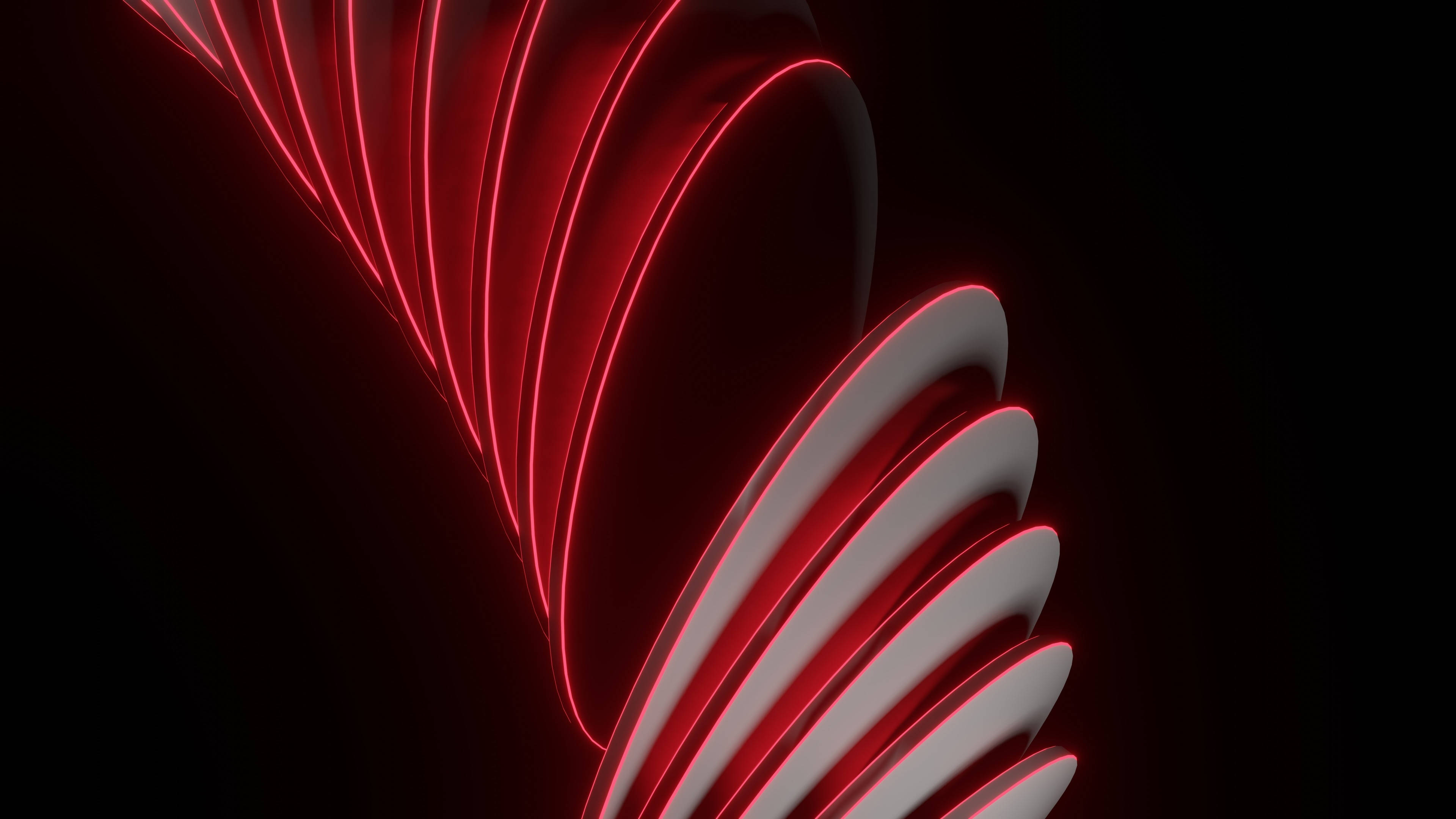 Black Red 4K, neon lines, deep black background, 4K Desktop Wallpaper