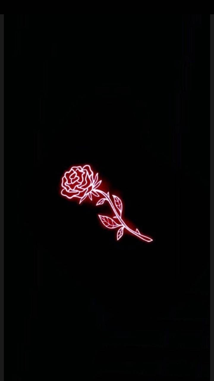 red neon rose, stem, leaves, HD Phone Wallpaper