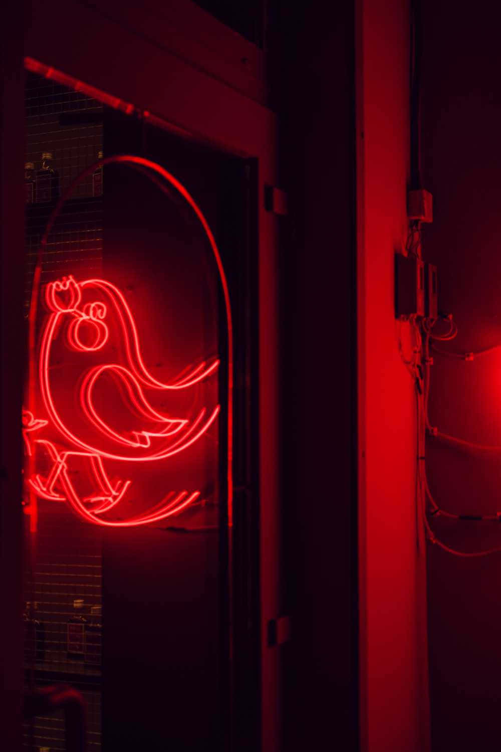 red neon sign, stylized bird, glowing, HD Phone Wallpaper