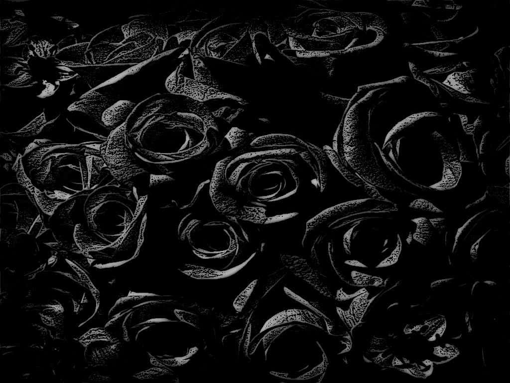Black Rose Bouquet Aesthetic, roses, black and white, SD Desktop Wallpaper