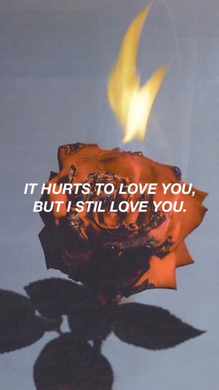 black rose, flame atop its petals, charred rose, HD Phone Wallpaper
