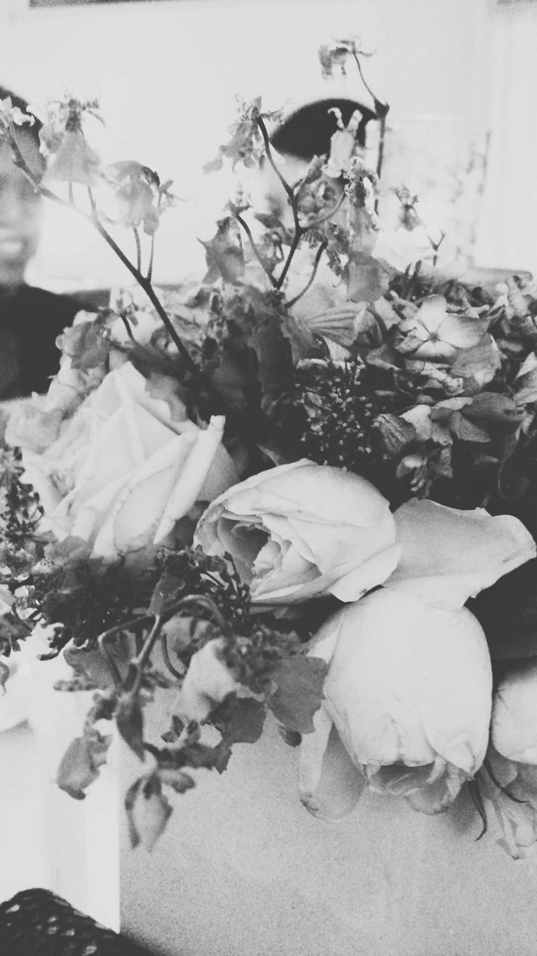 black rose, monochrome, close-up, Full HD Phone Wallpaper