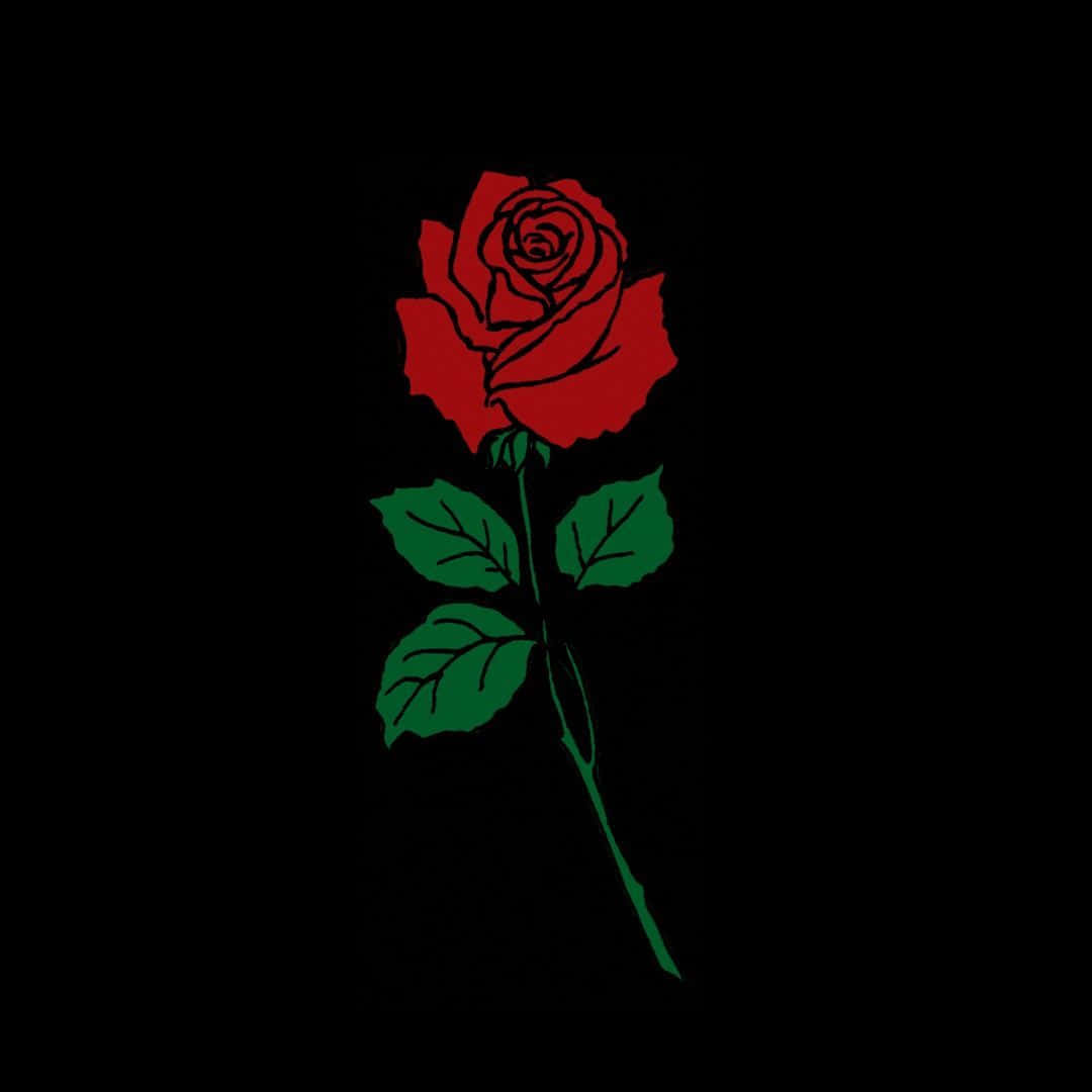 black rose aesthetic, red rose, green leaves, SD Desktop Wallpaper