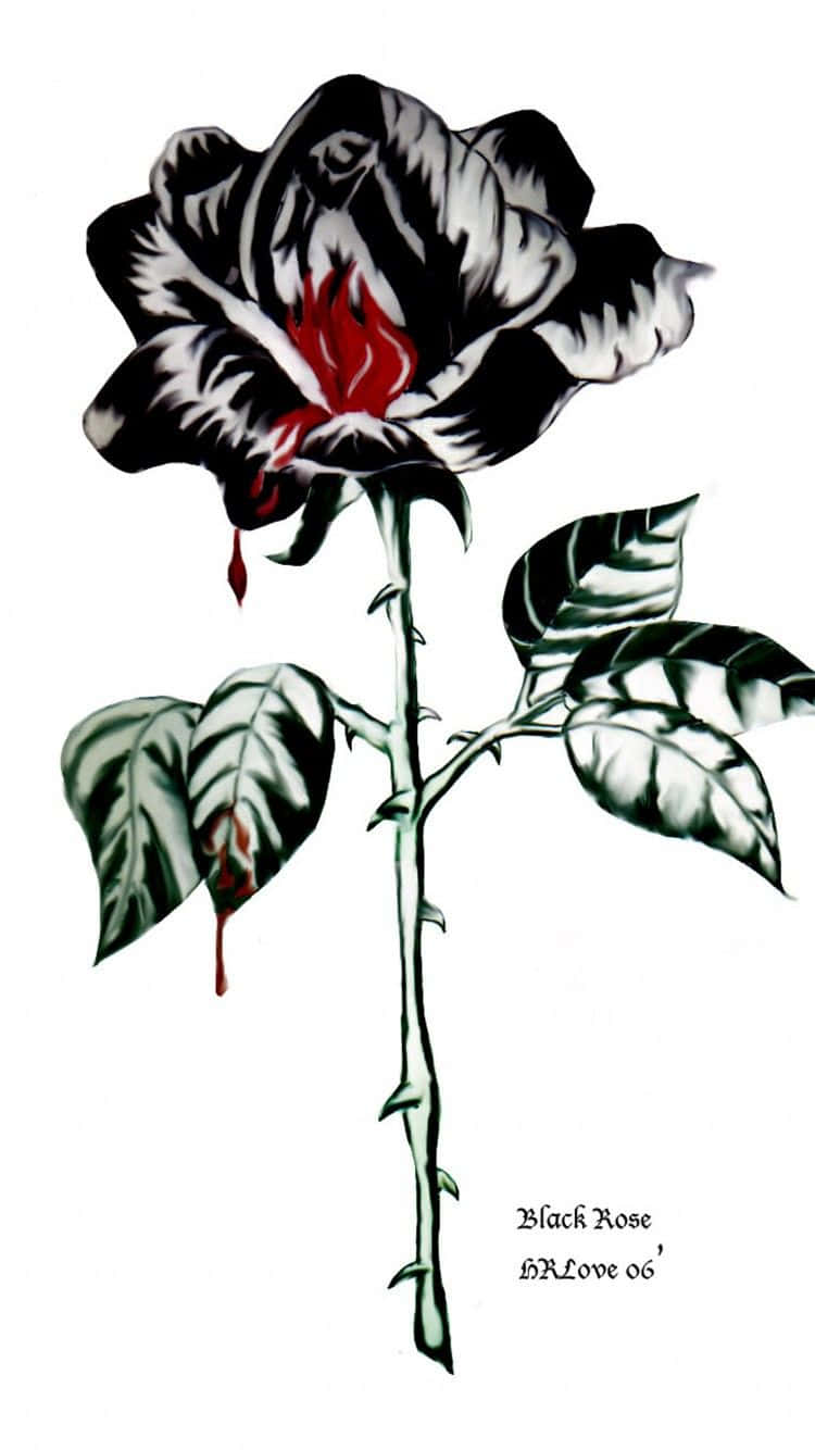 Black Rose Aesthetic, black rose, fiery red center, HD Phone Wallpaper