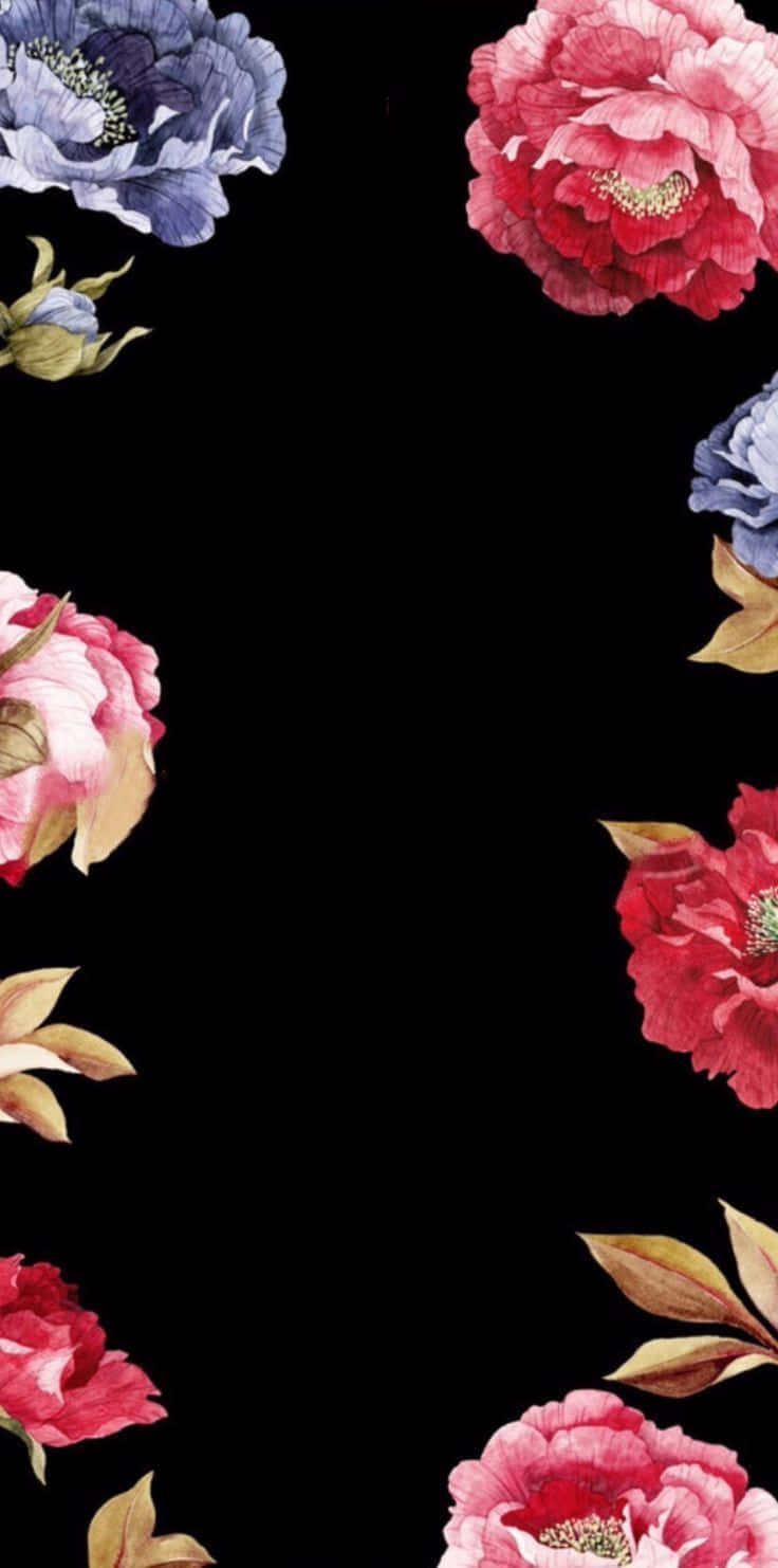 black background, vibrant pink and blue peonies, golden leaves, HD Phone Wallpaper