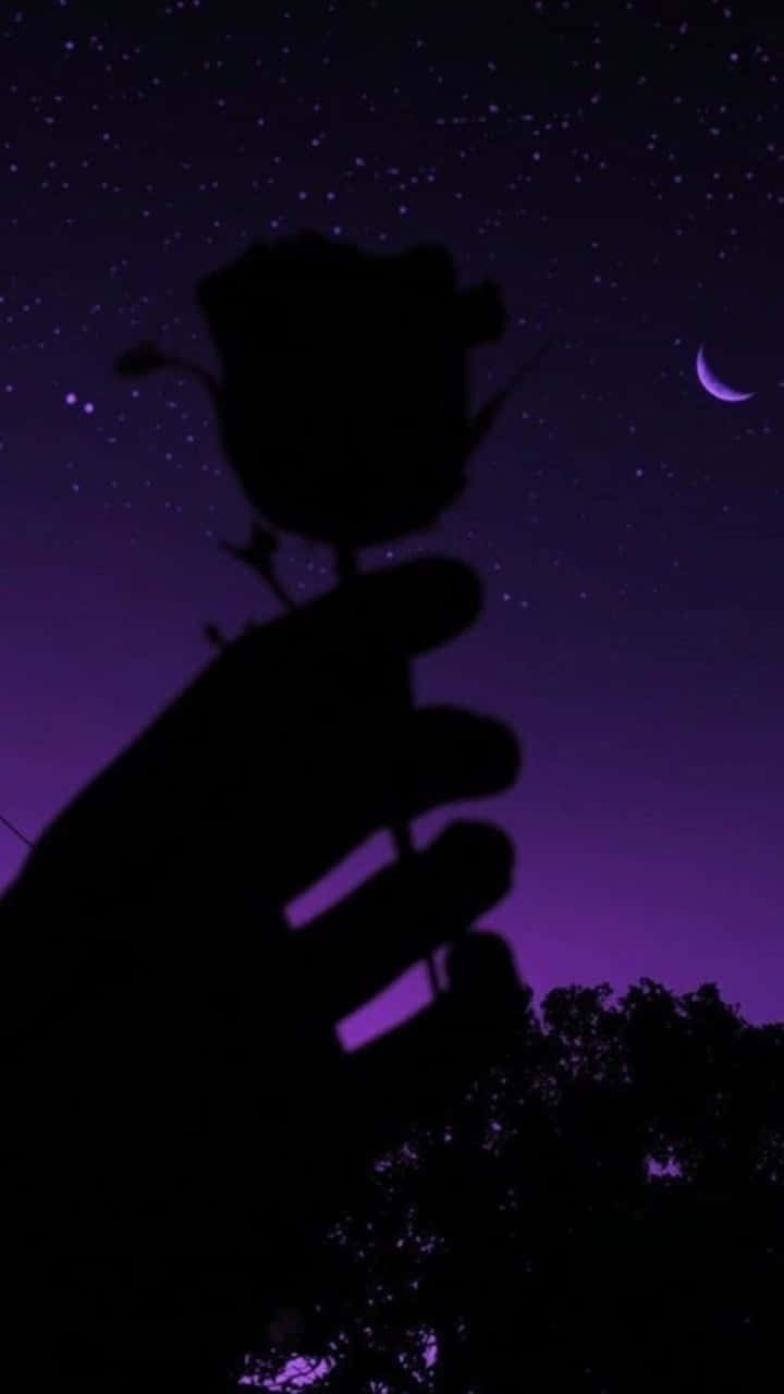 Black Rose Aesthetic, black rose, starry purple night sky, HD Phone Wallpaper