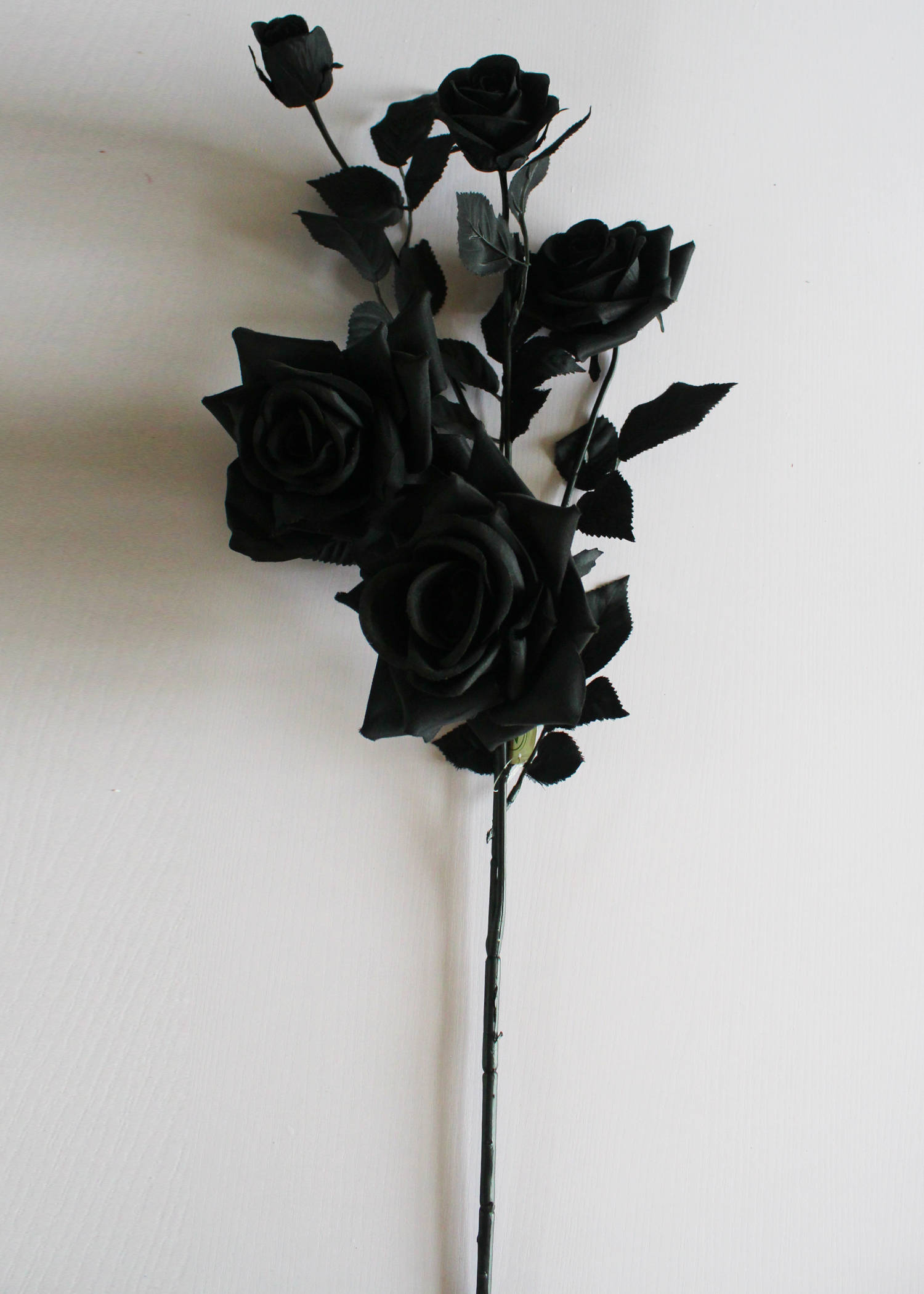 Black Rose iPhone, matte black roses, dark leaves, Full HD Phone Wallpaper