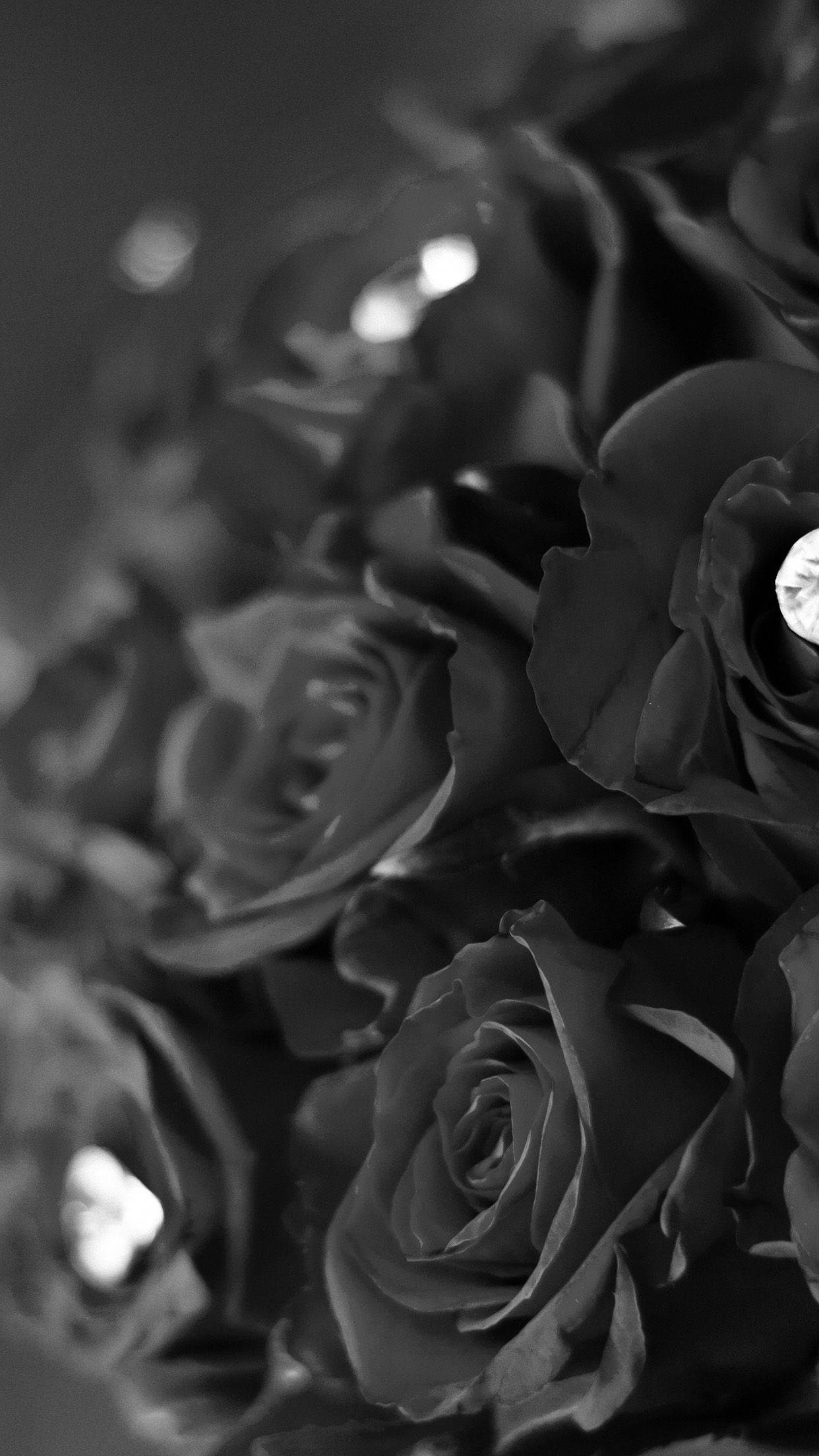 Black Rose iPhone, dark roses, velvety texture, Full HD Phone Wallpaper