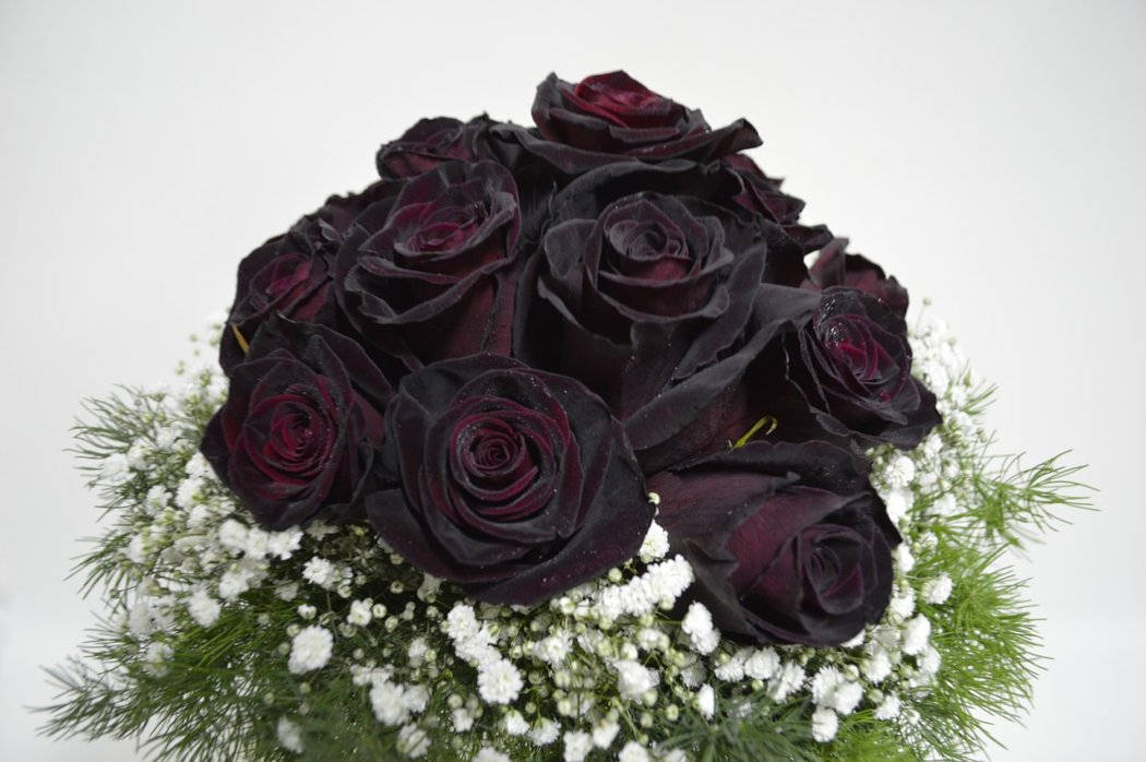 bouquet of black roses, deep black roses, white baby's breath, SD Desktop Wallpaper