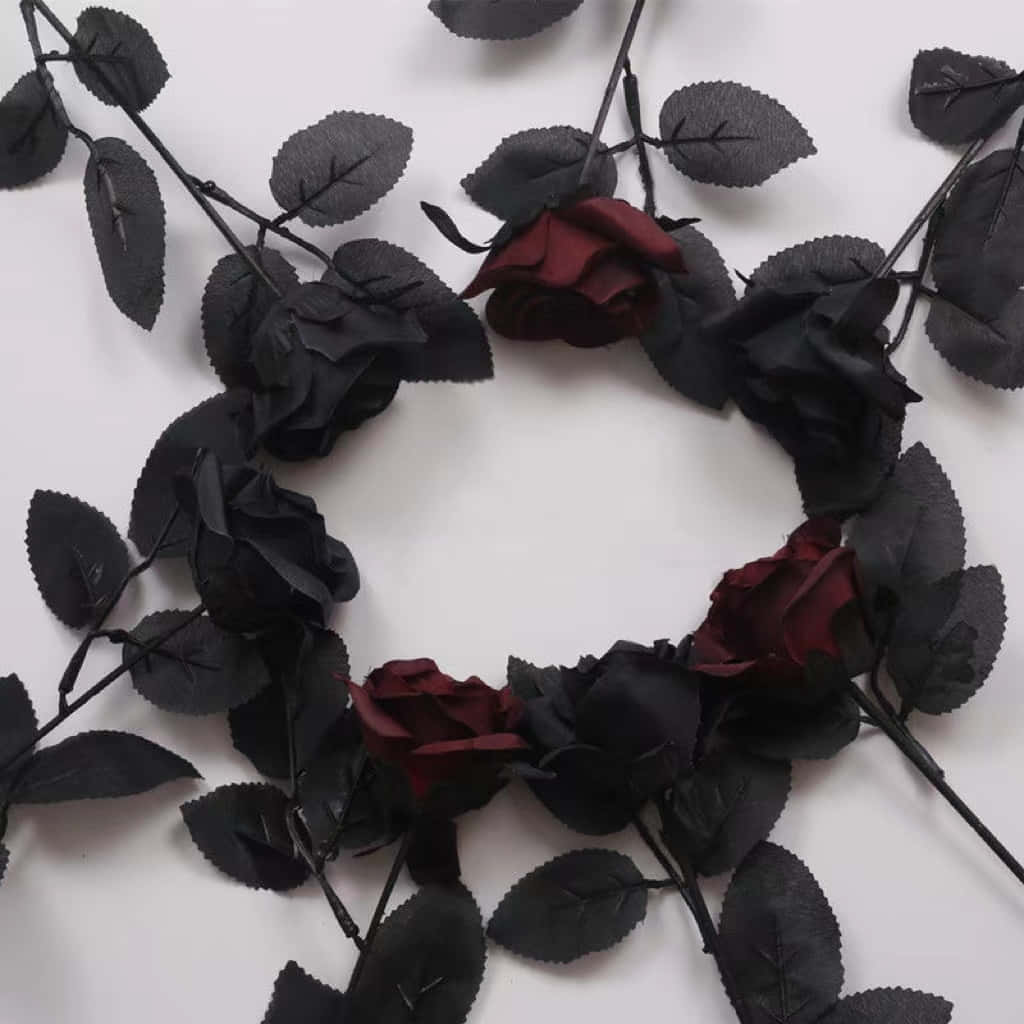 Black Rose, circular wreath, black roses, SD Desktop Wallpaper