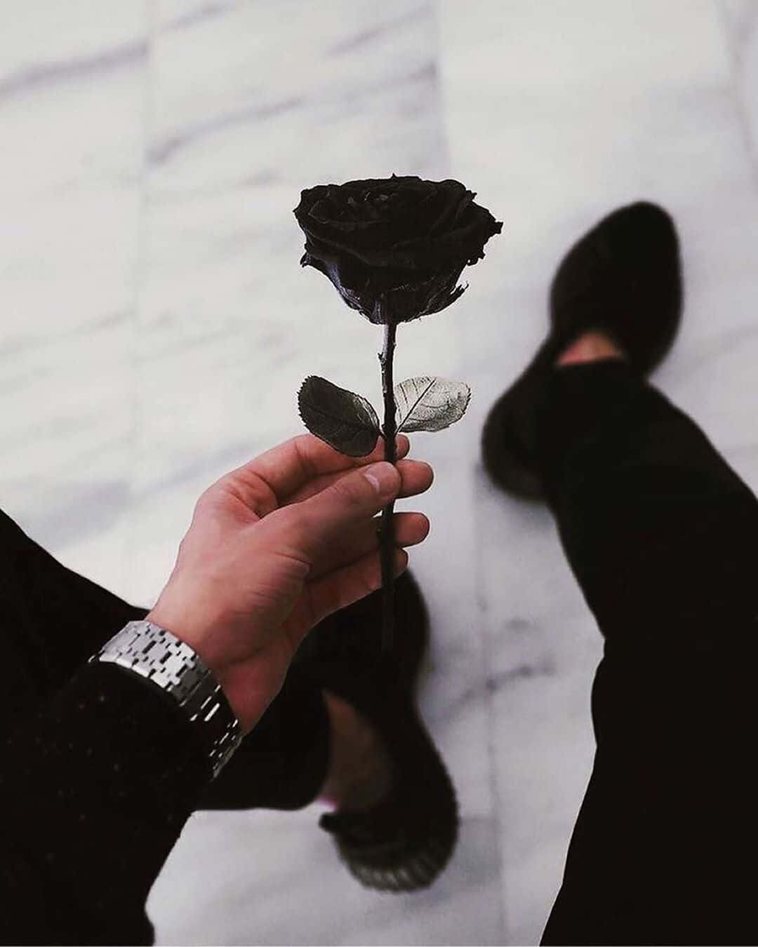 black rose, white marble floor, dark shoes, HD Phone Wallpaper