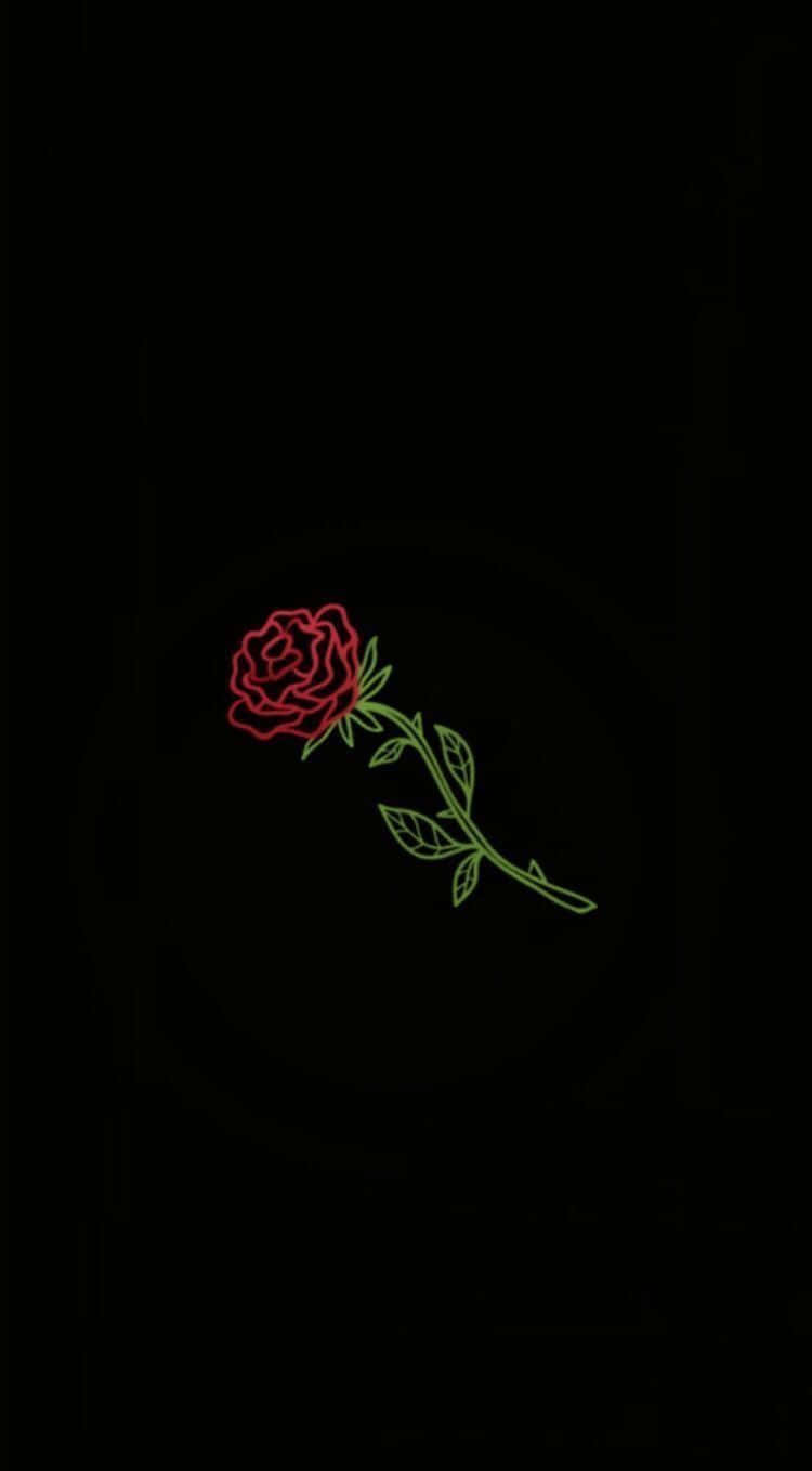 Black Rose, glowing red rose, neon outline, HD Phone Wallpaper