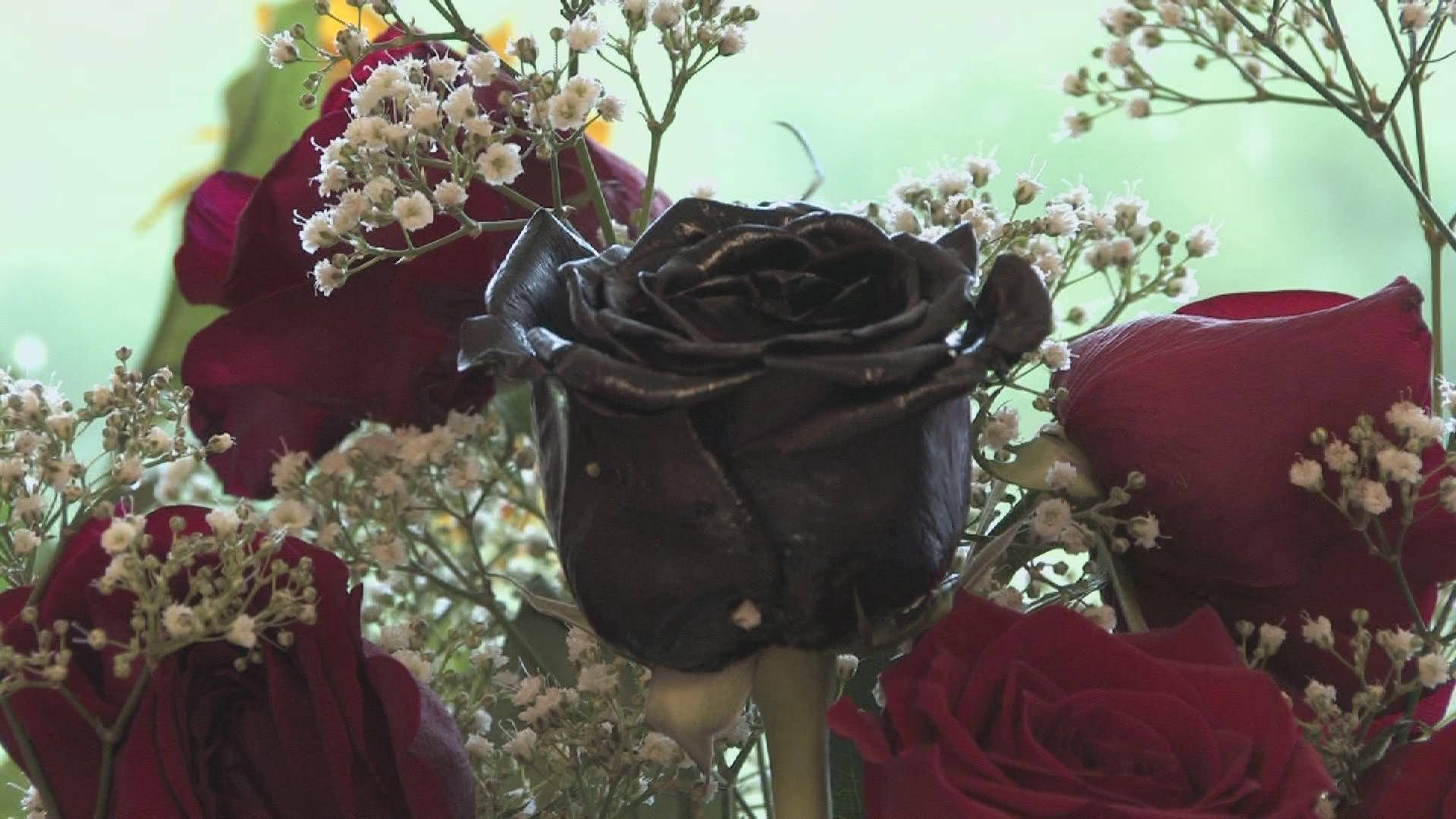 Black Rose, bouquet, deep red roses, Full HD Desktop Wallpaper