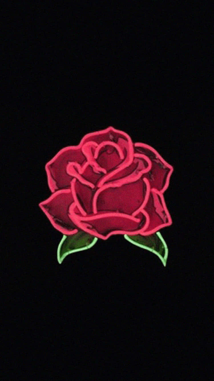 Black Rose, neon pink, green leaves, HD Phone Wallpaper