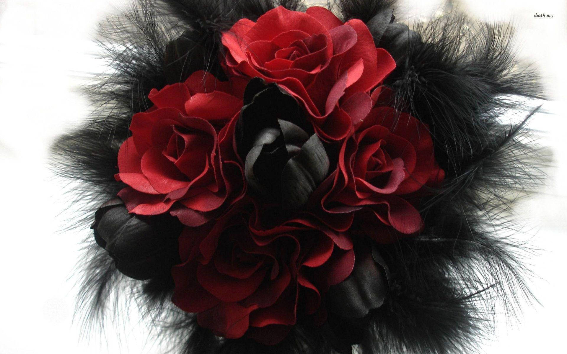 red and black roses, deep red roses, black roses, Full HD Desktop Wallpaper