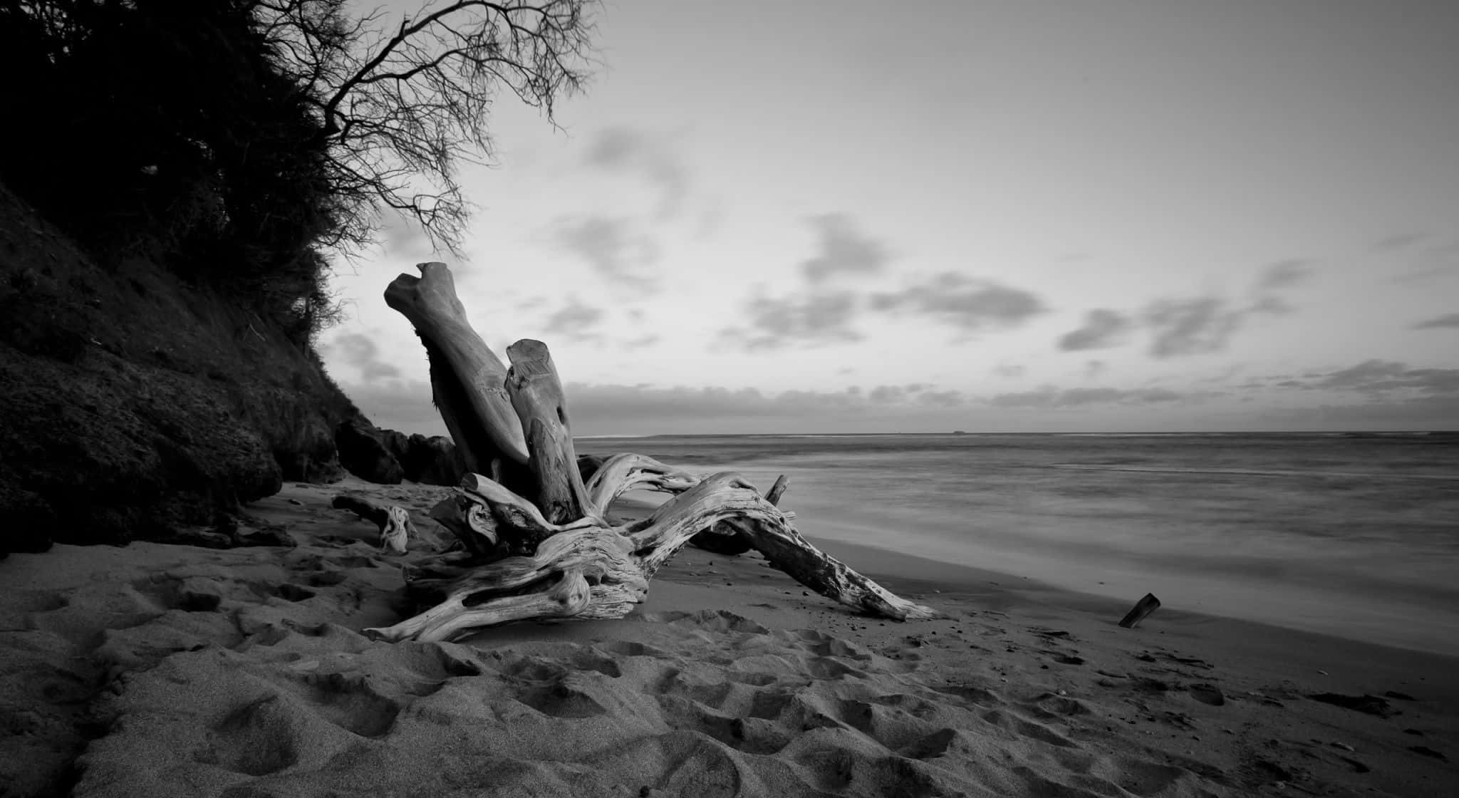 black and white beach, driftwood, textured sand, Full HD Desktop Wallpaper