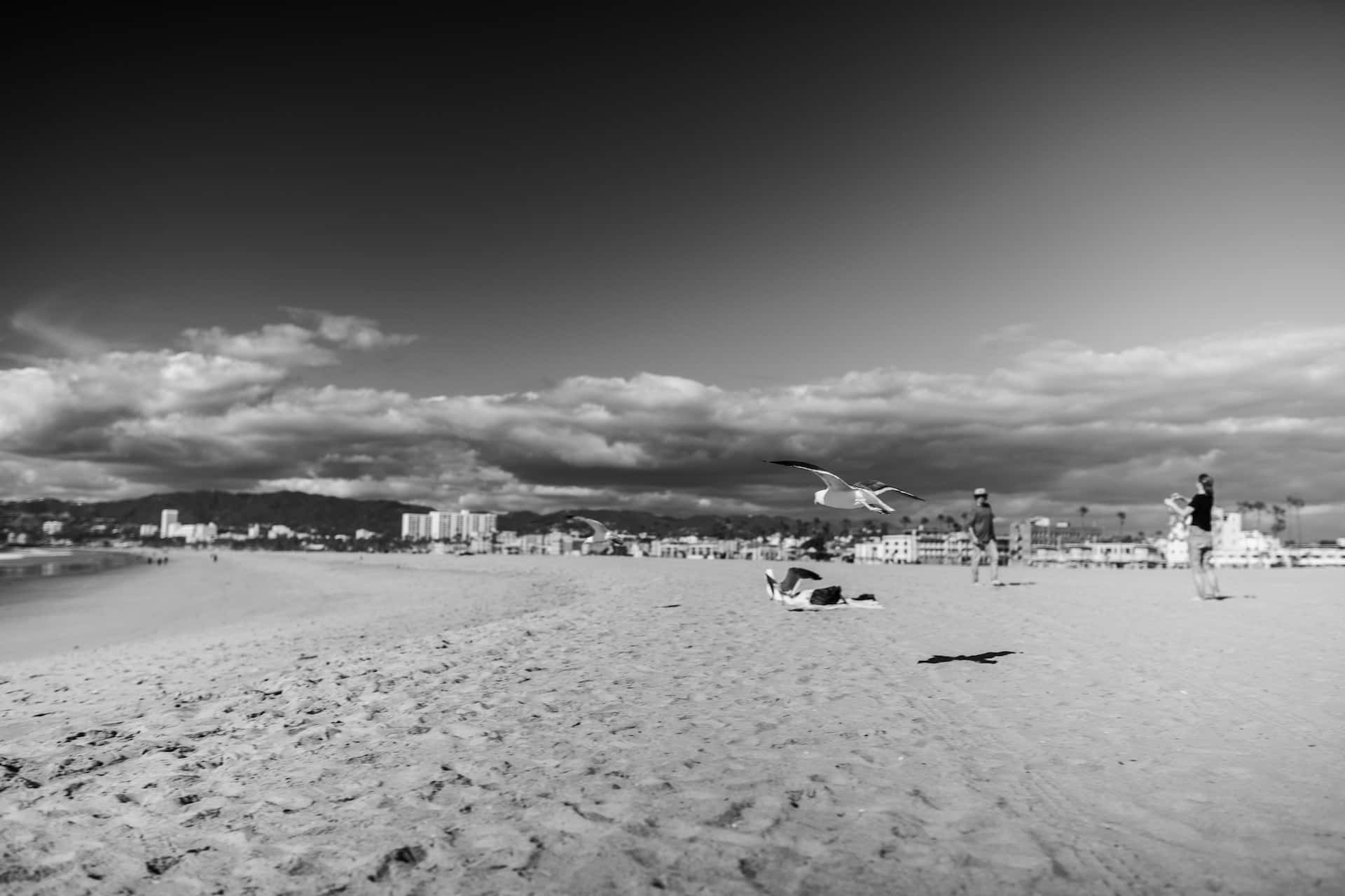 black and white beach, textured sand, cloudy sky, Full HD Desktop Wallpaper