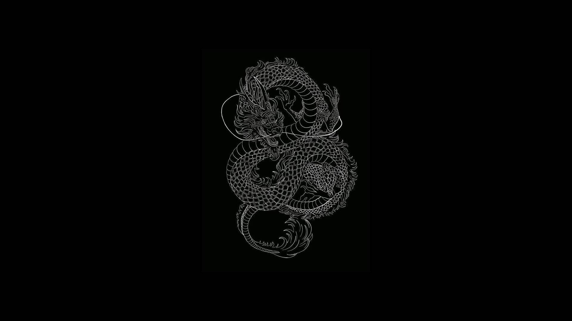 dragon, white line drawing, coiled dragon, Full HD Desktop Wallpaper