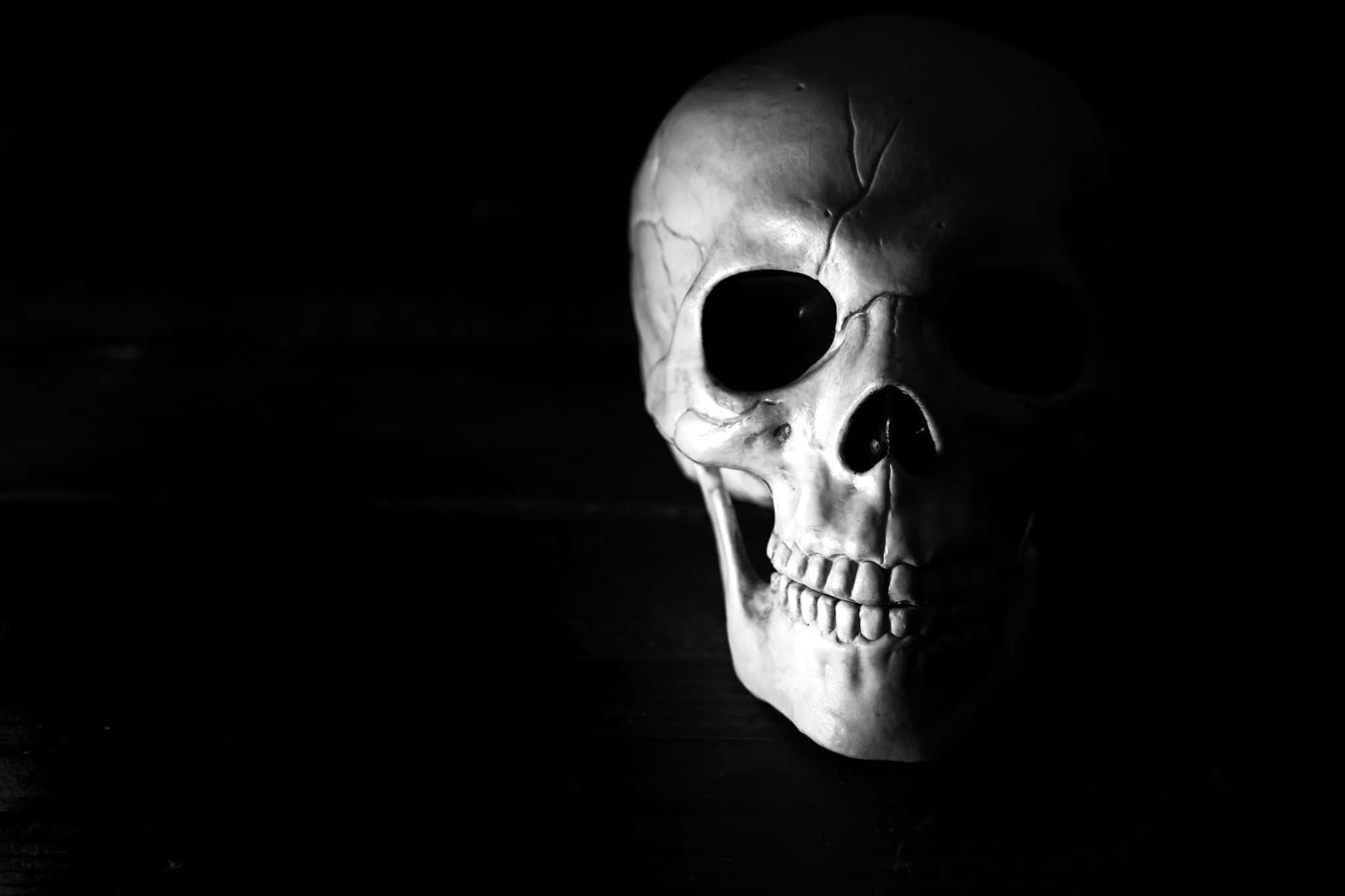 Black Skeleton, monochrome, deep black background, Full HD Desktop Wallpaper