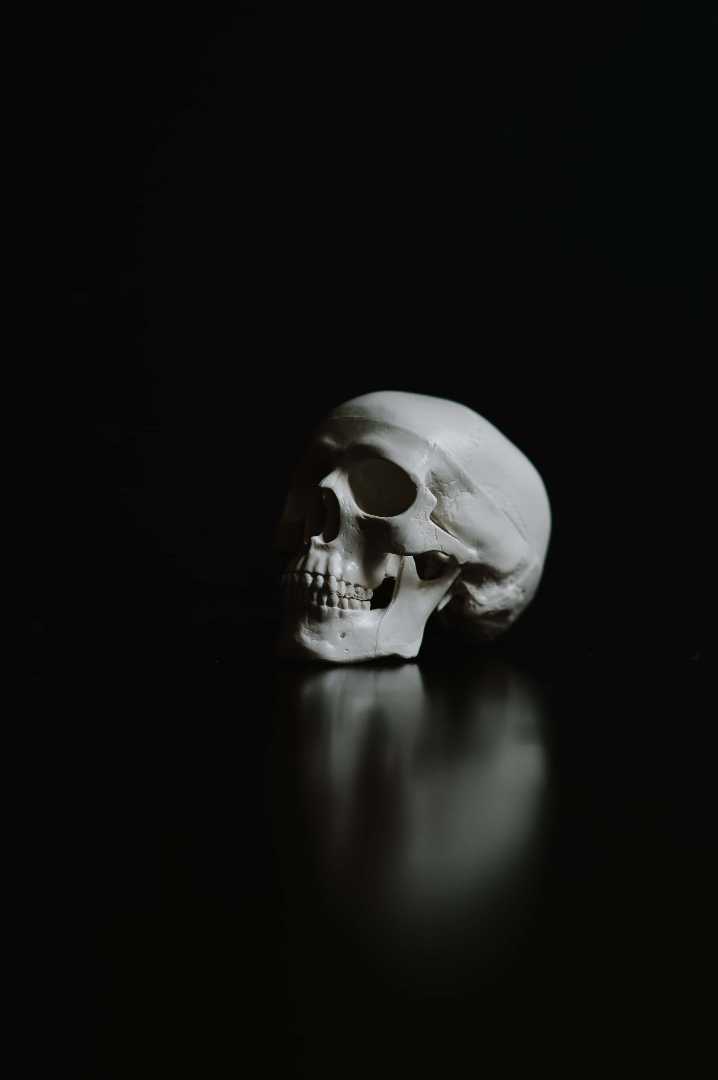 Black Skeleton, white human skull, reflective black surface, 4K Phone Wallpaper