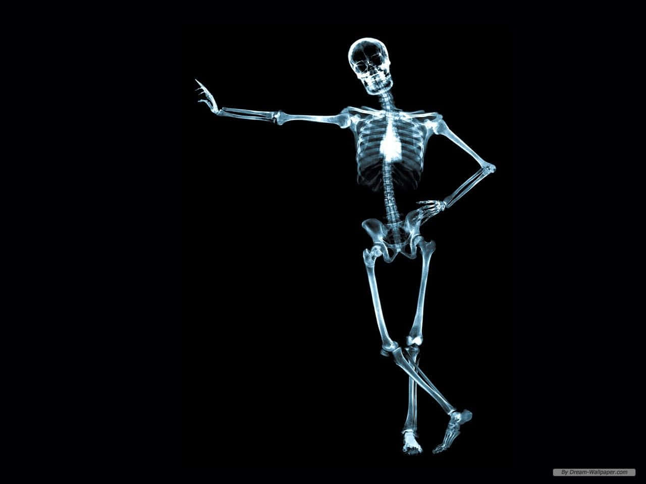 x ray, glowing, skeleton, HD Desktop Wallpaper
