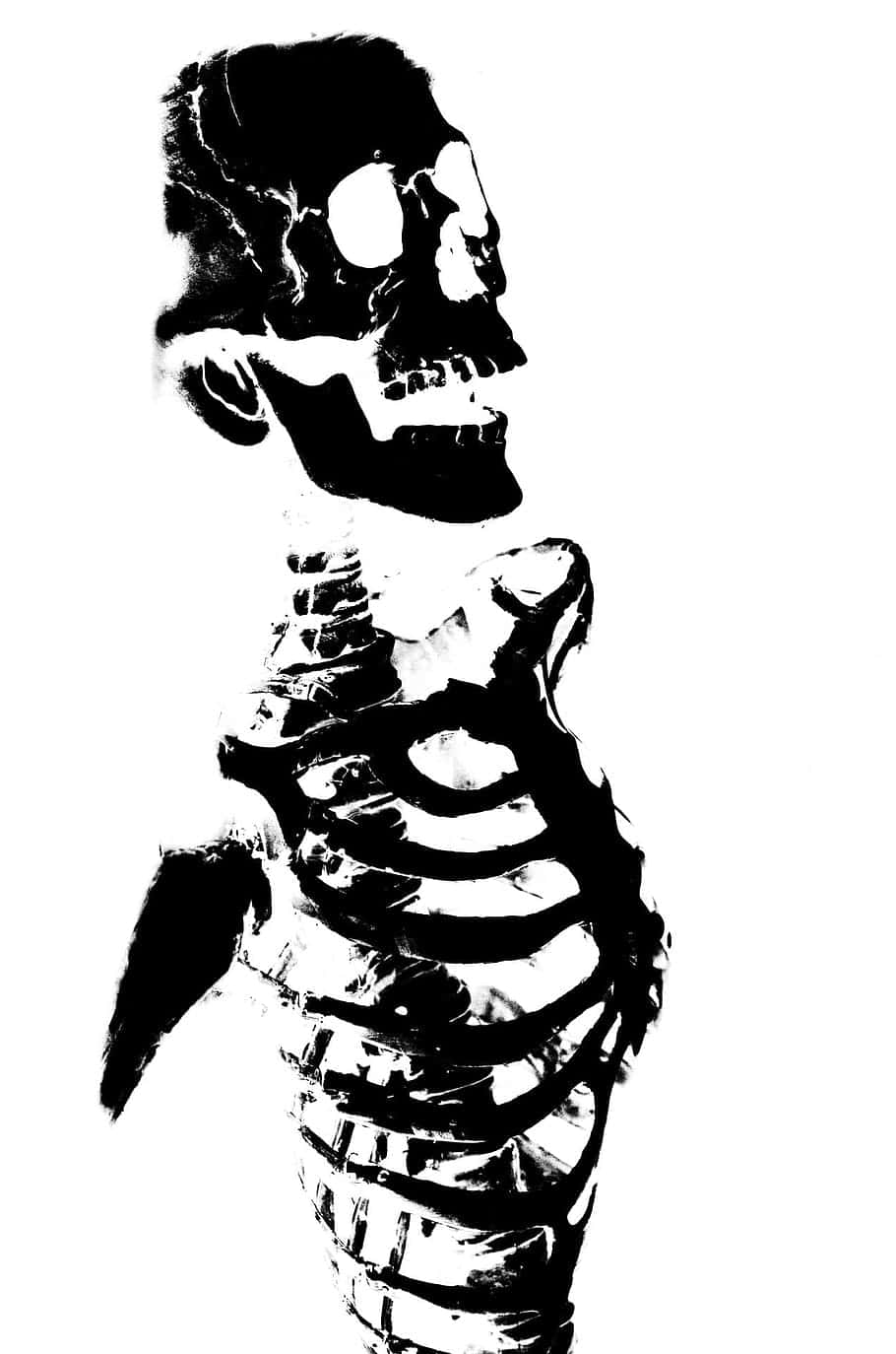 black and white, skeletal figure, human skeleton torso, HD Phone Wallpaper